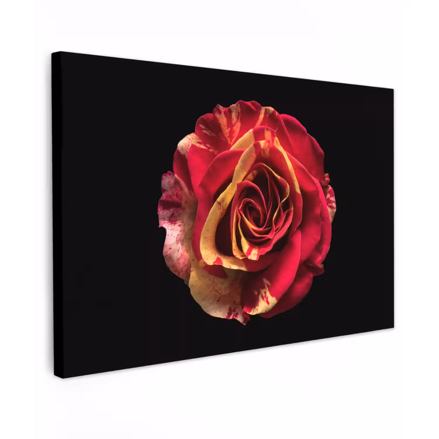 Bloem - Roos - Rood - Zwart canvas 2cm klein -z3d