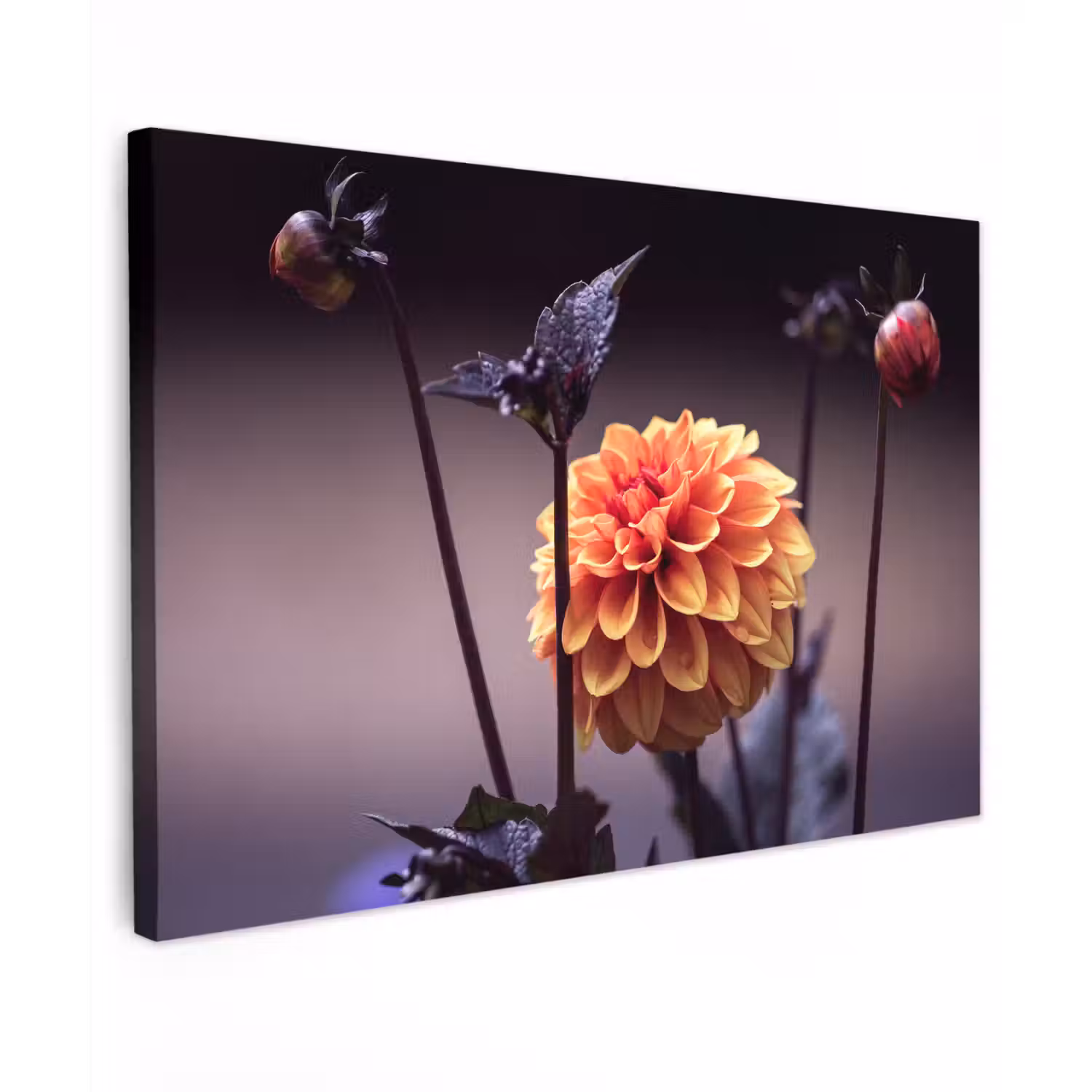 Bloemen - Chrysant - Macro - Planten canvas 2cm klein -z3d