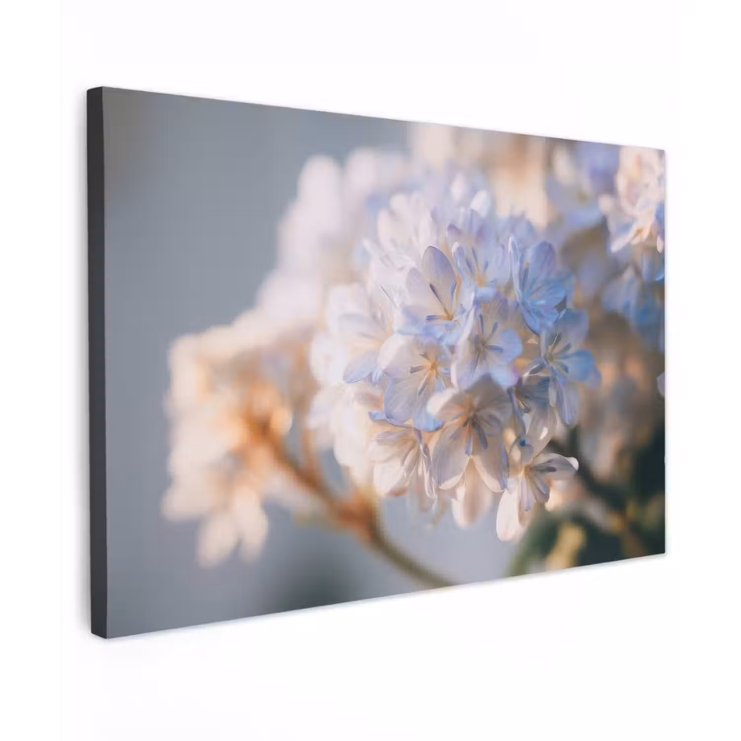 Bloemen - Lichtblauw - Wazig - Trosje canvas 2cm klein -z3d
