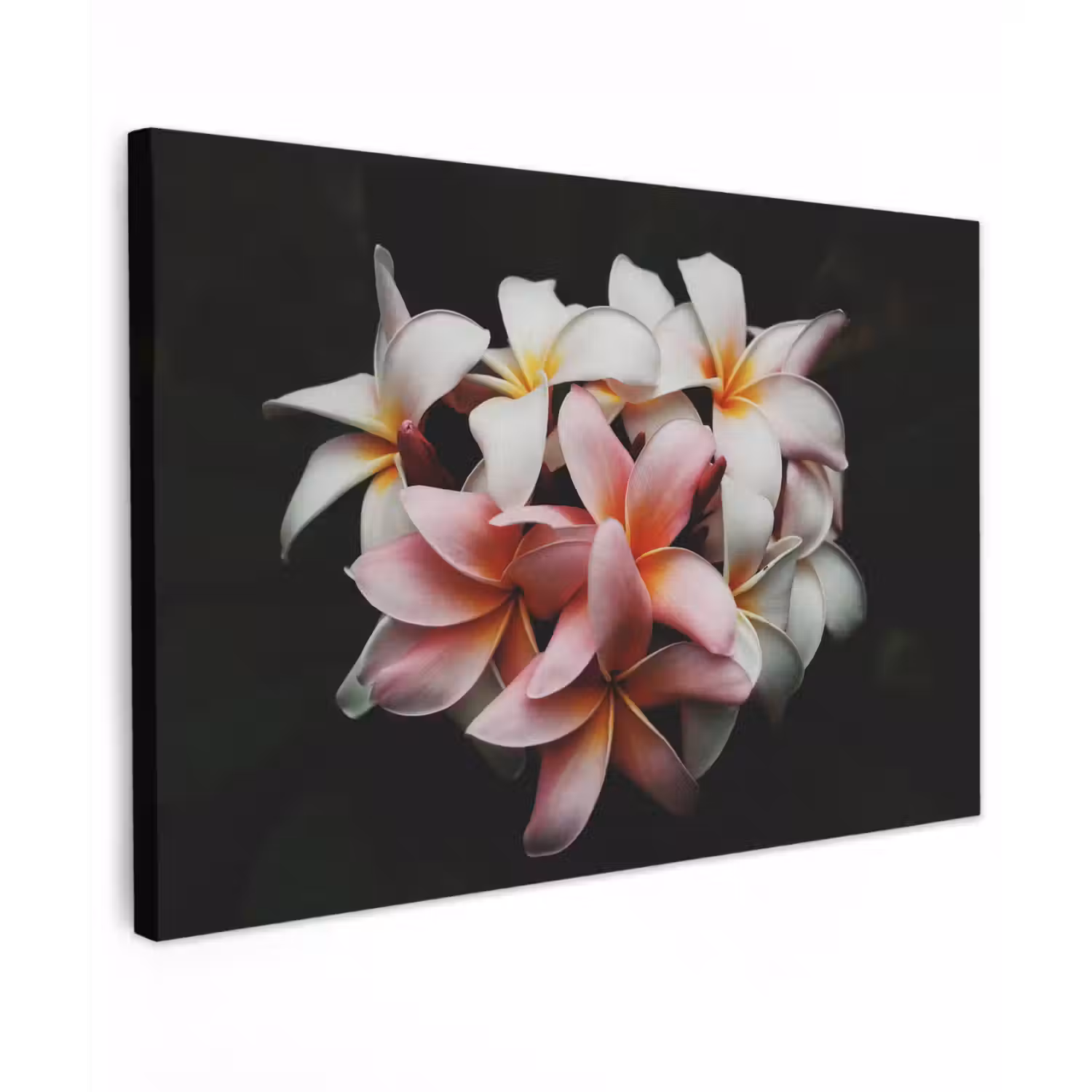 Bloemen - Roze - Zwart - Flora - Botanisch canvas 2cm klein -z3d