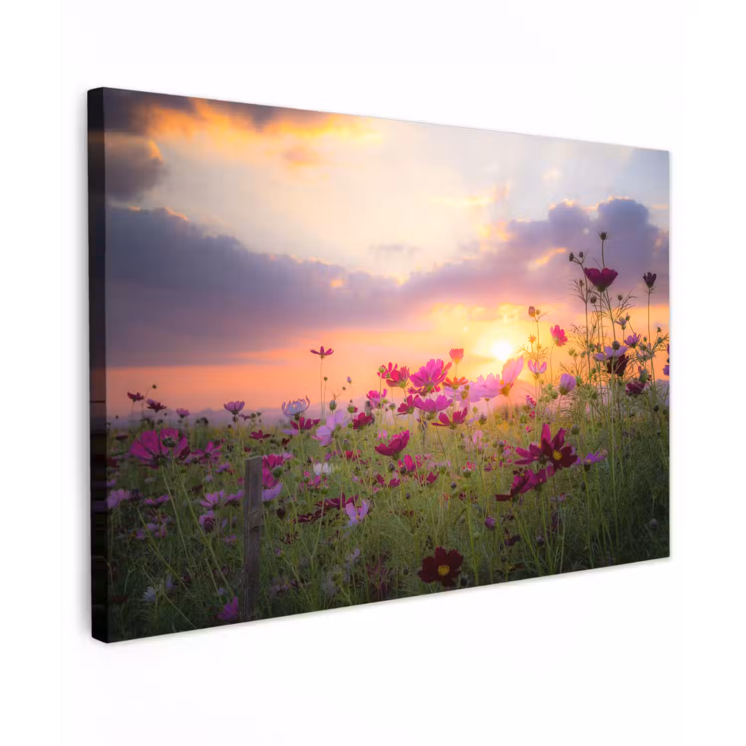 Bloemen - Roze - Zonsondergang - Natuur - Weide - Horizon canvas 2cm klein -z3d