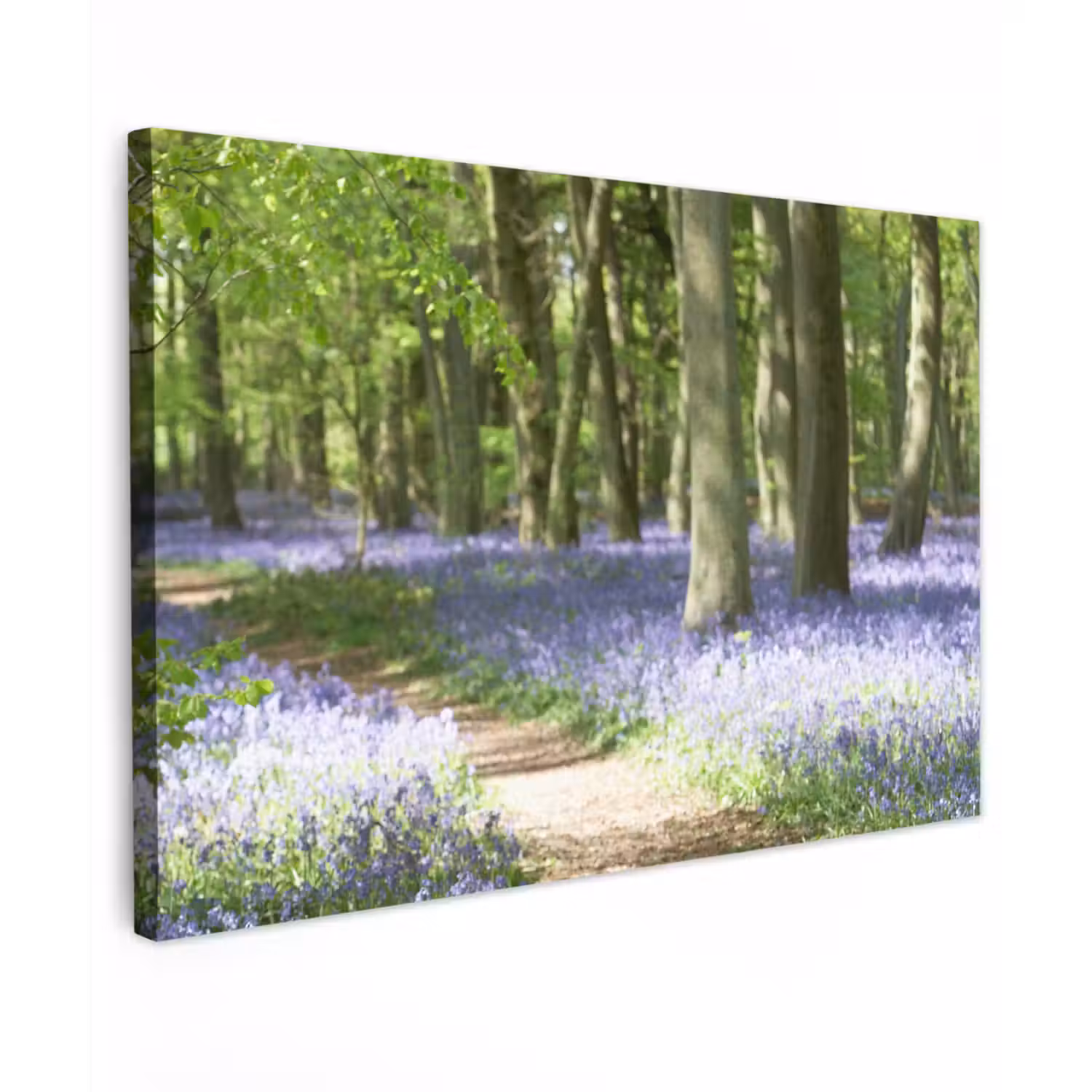 Bos - Pad - Bloemen - Paars - Groen - Natuur canvas 2cm klein -z3d