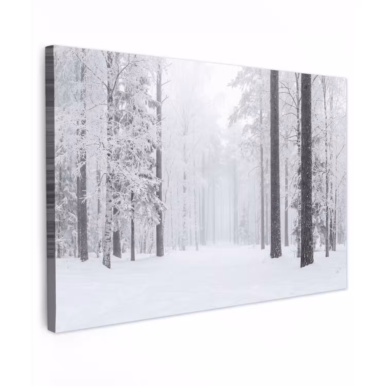 Bos - Sneeuw - Pad - Winter - Stilte canvas 2cm klein -z3d
