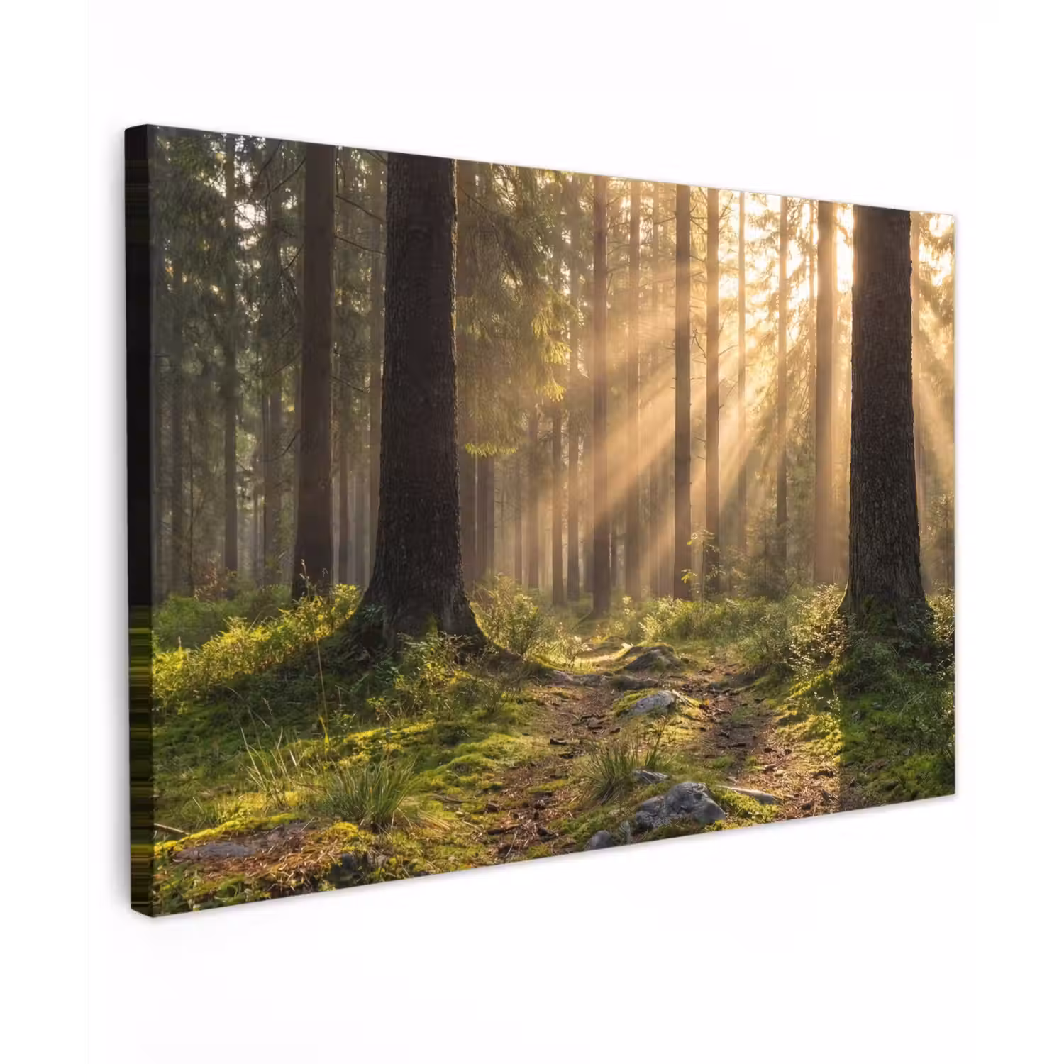 Bos - Zonlicht - Gras canvas 2cm klein -z3d
