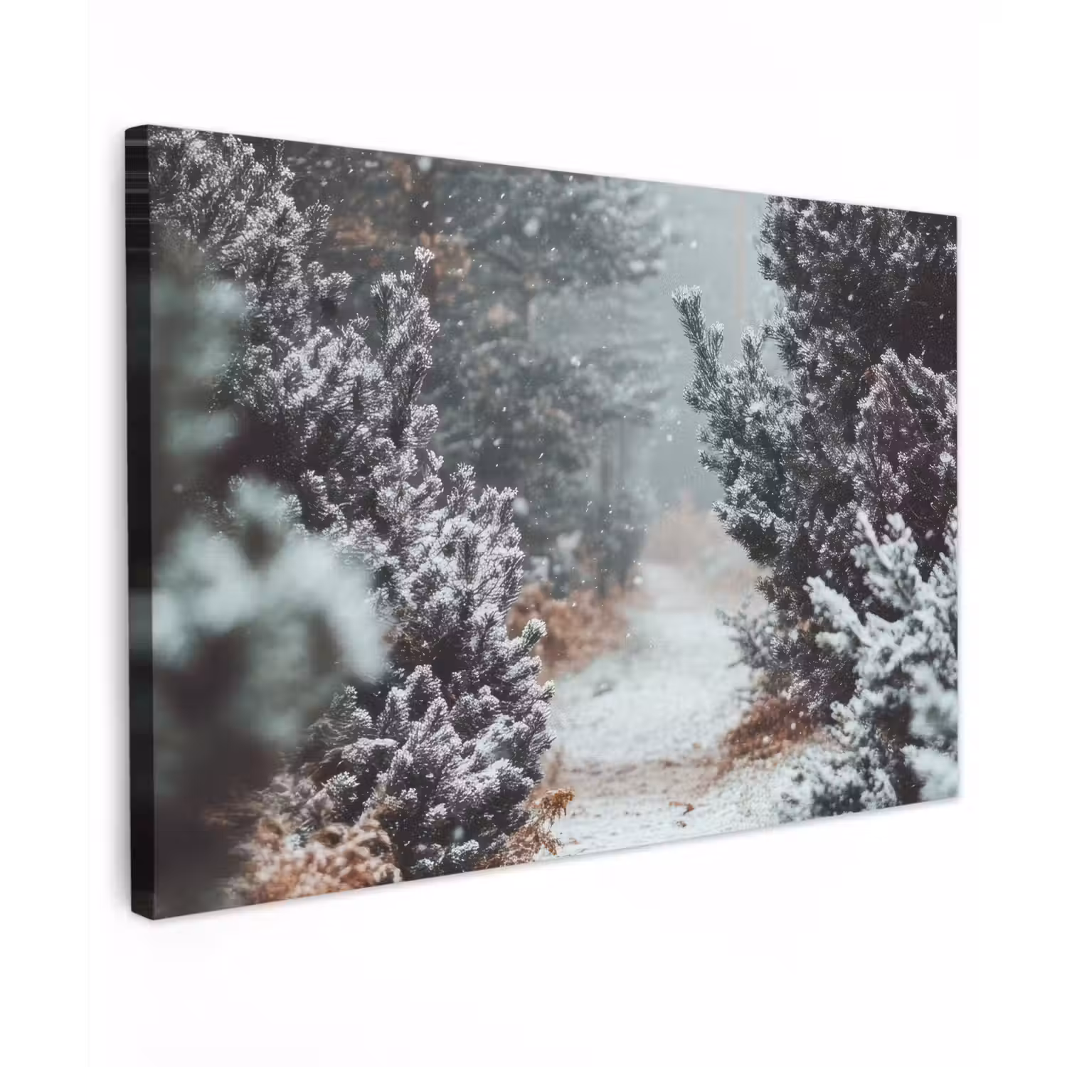 Bos - Winter - Bomen - Natuur - Pad - Sneeuw canvas 2cm klein -z3d