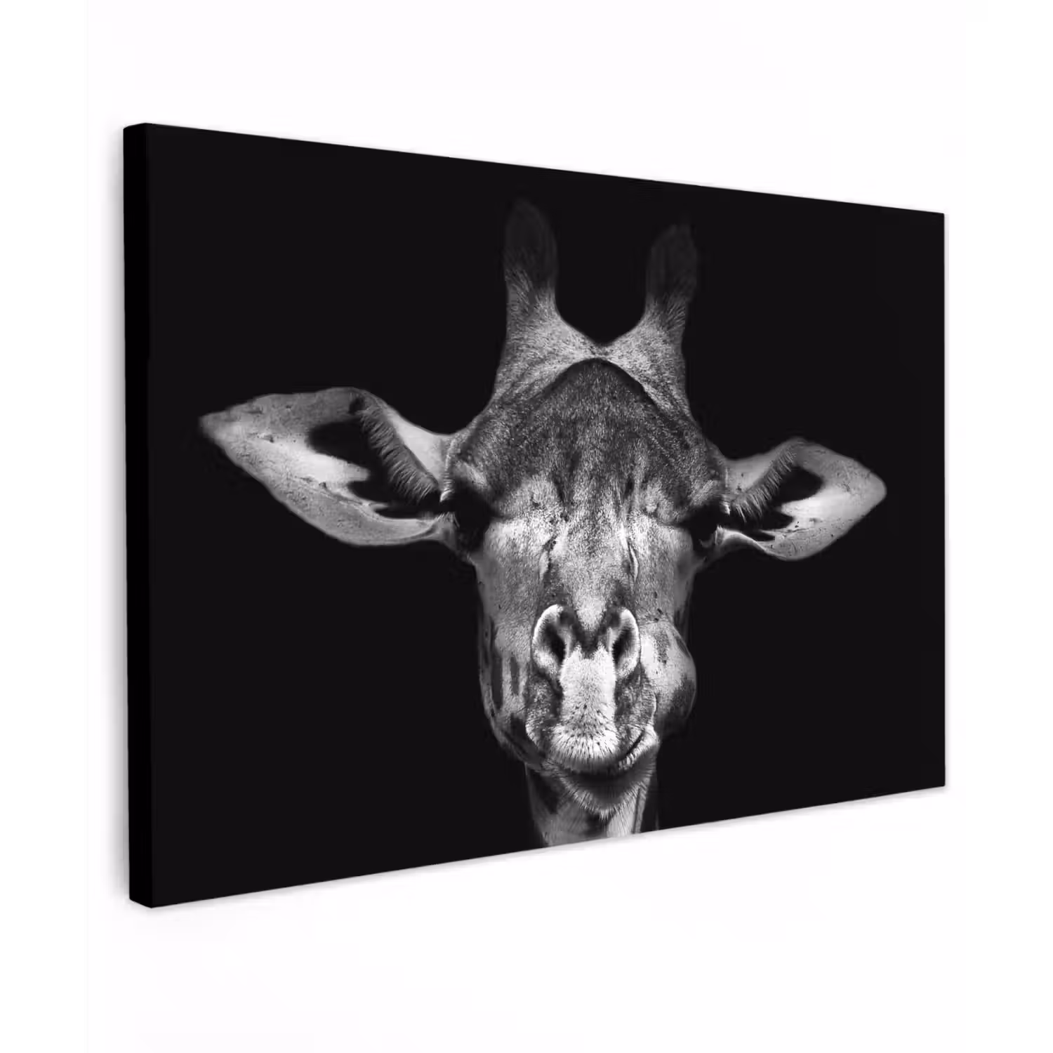 Giraffe - Portret - Dieren - Zwart - Wit canvas 2cm klein -z3d