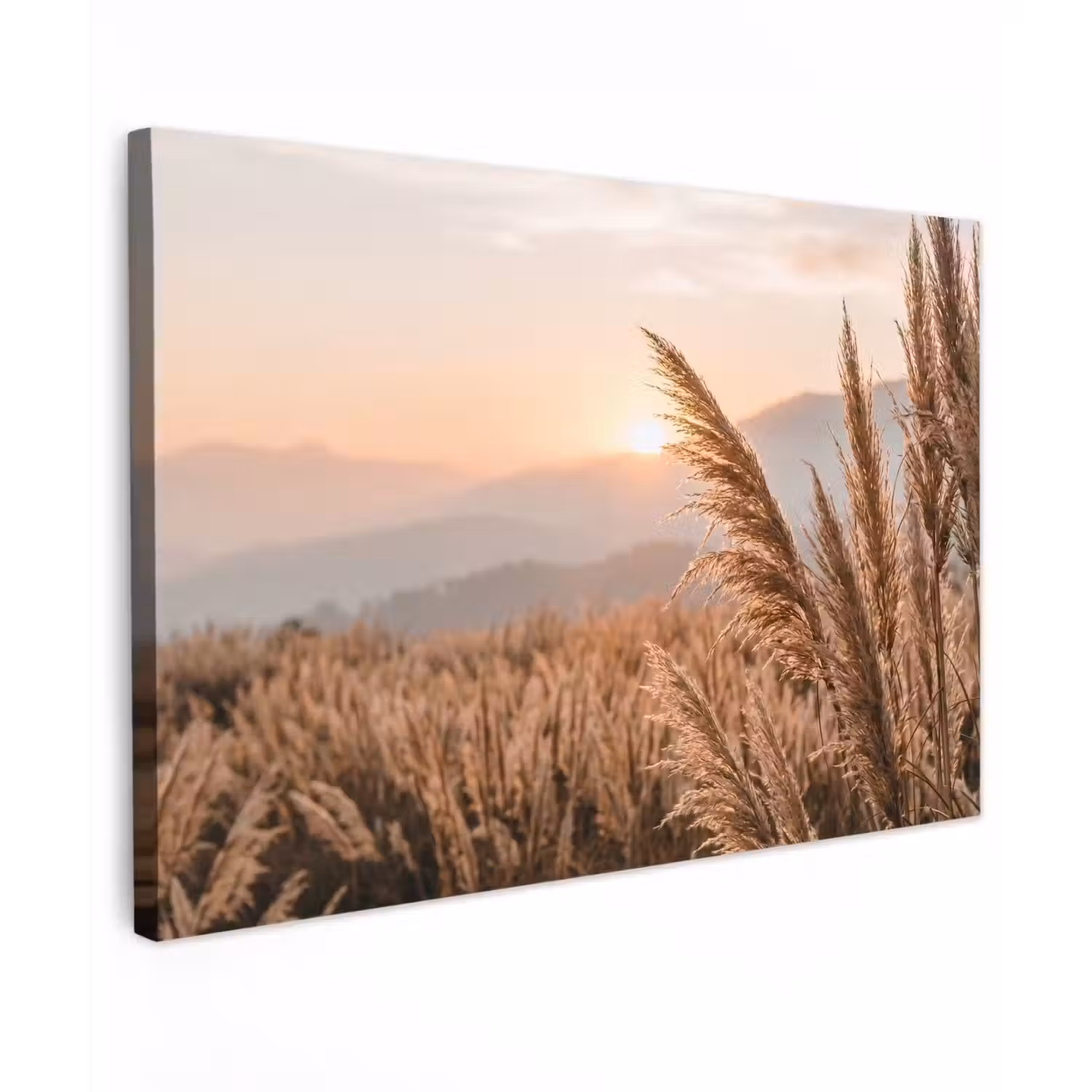 Gras - Veld - Zon - Natuur canvas 2cm klein -z3d
