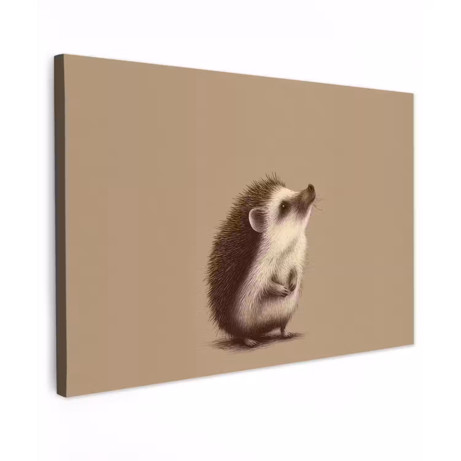 Egel - Snuitje - Bruin - Stekels canvas 2cm klein -z3d
