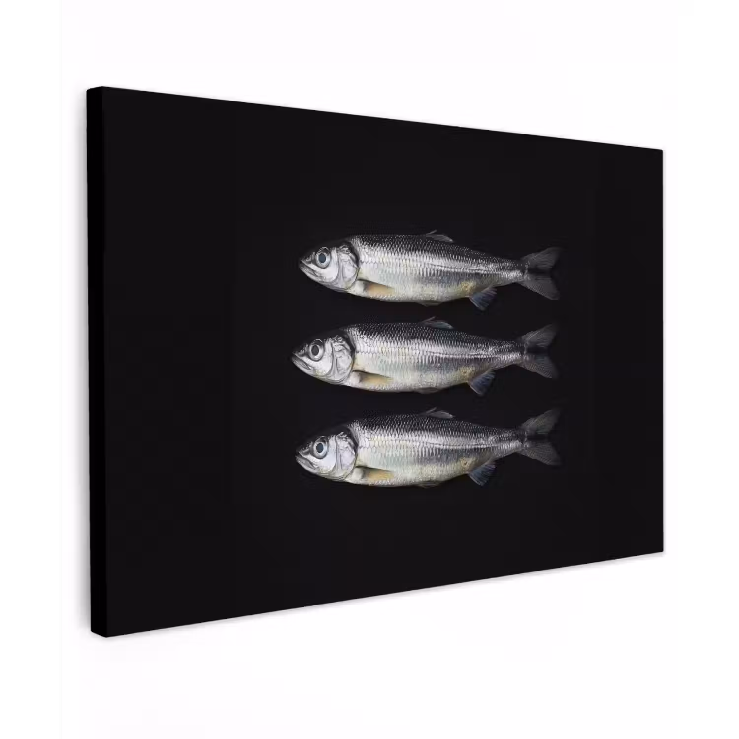 Haring - Vissen - Zwart canvas 2cm klein -z3d