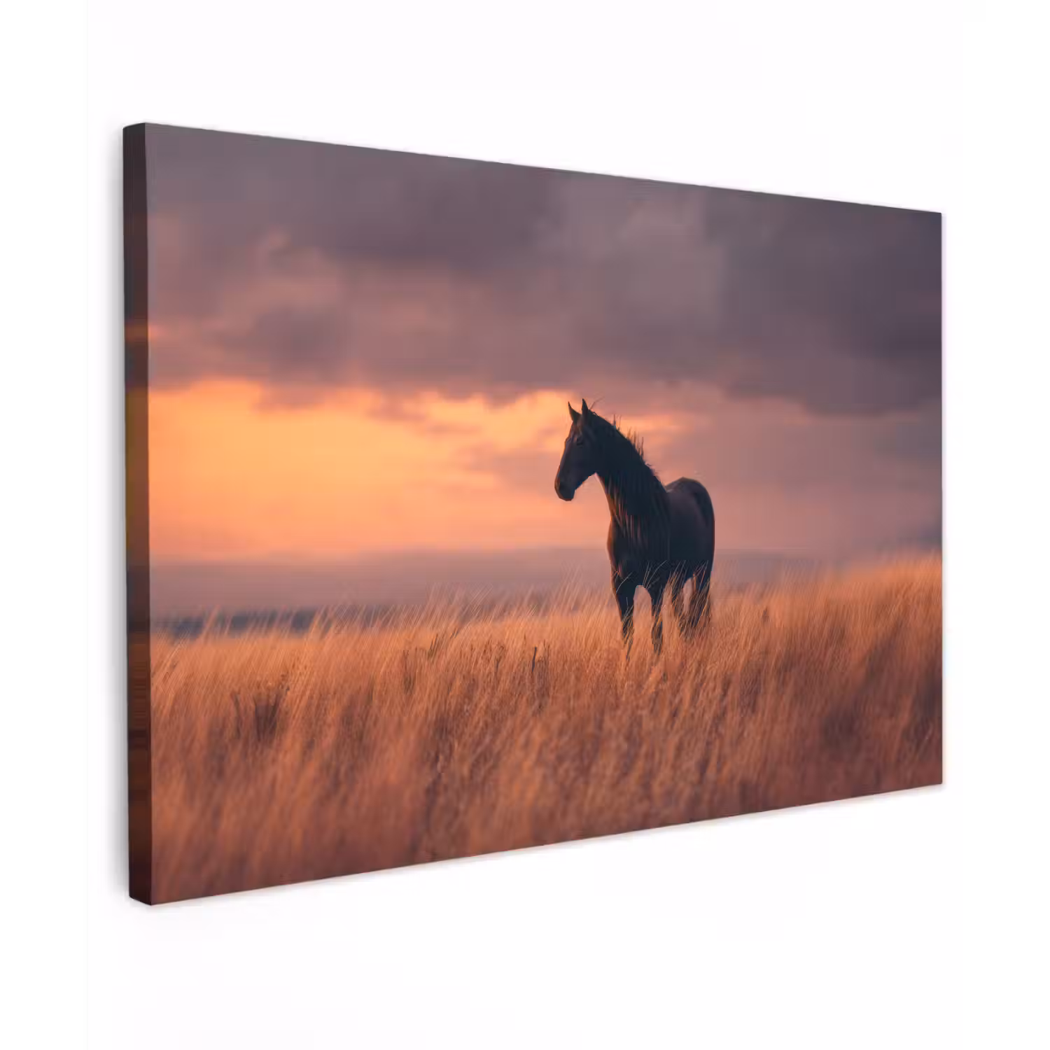 Paard - Wolken - Open veld canvas 2cm klein -z3d