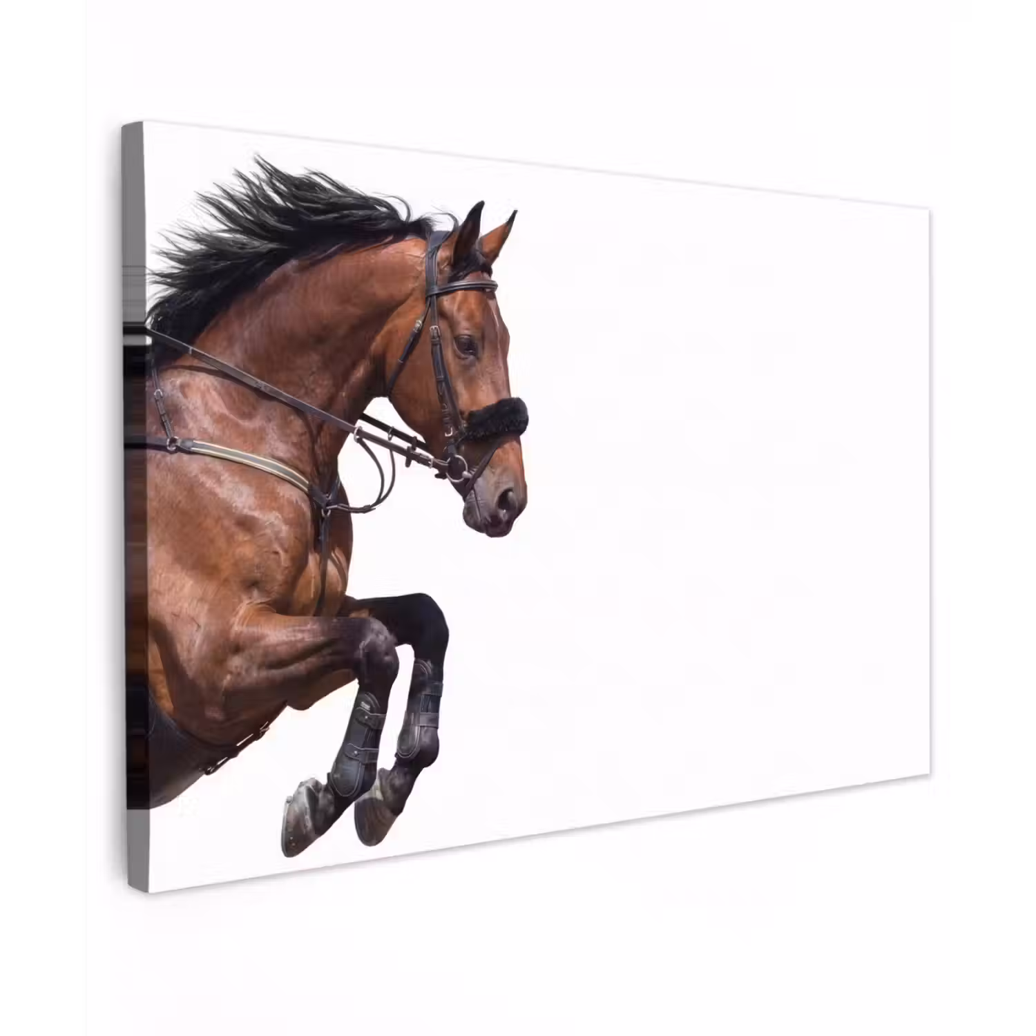 Paard - Springen - Modern canvas 2cm klein -z3d