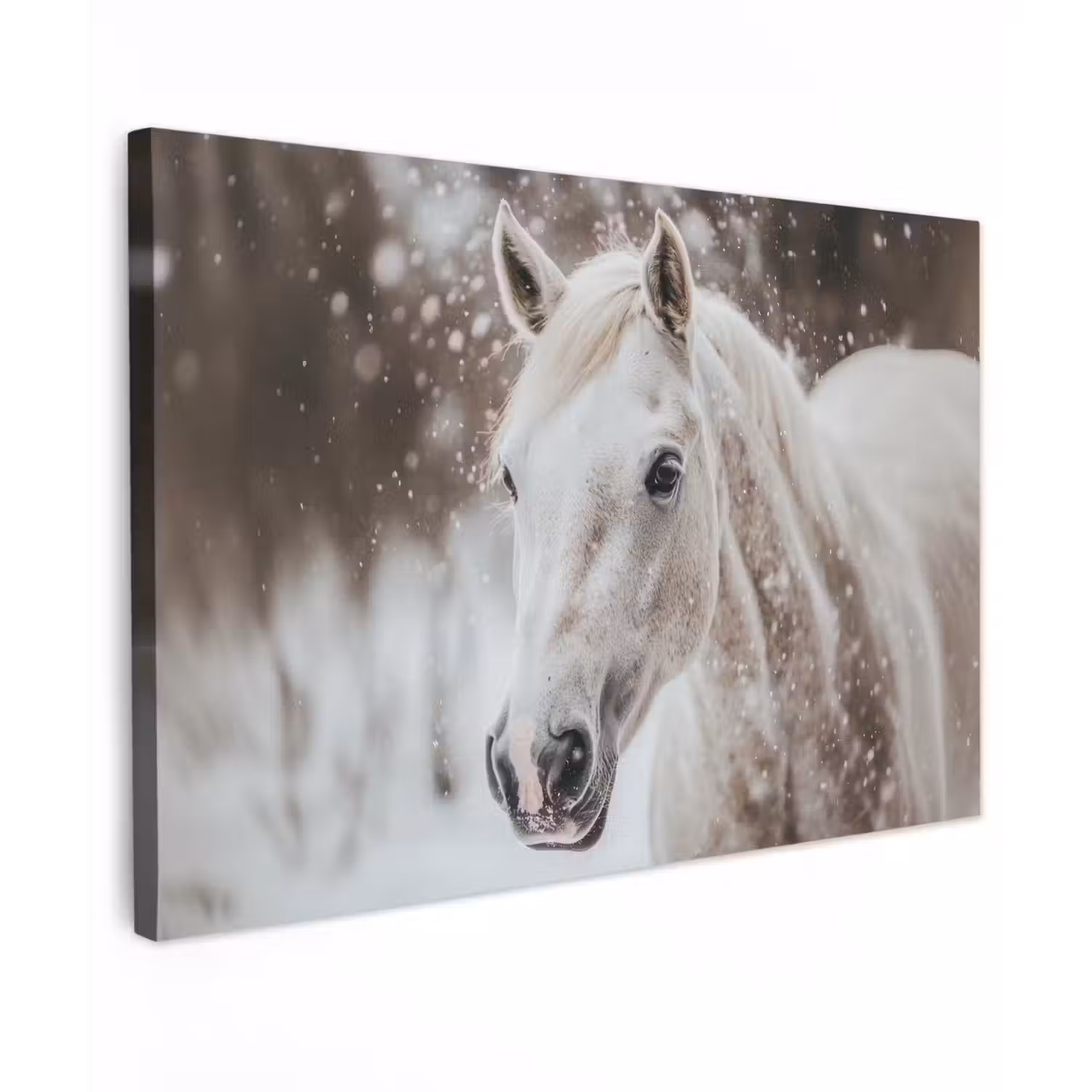 Paard - Wit - Winter - Natuur - Sneeuw - Dieren canvas 2cm klein -z3d