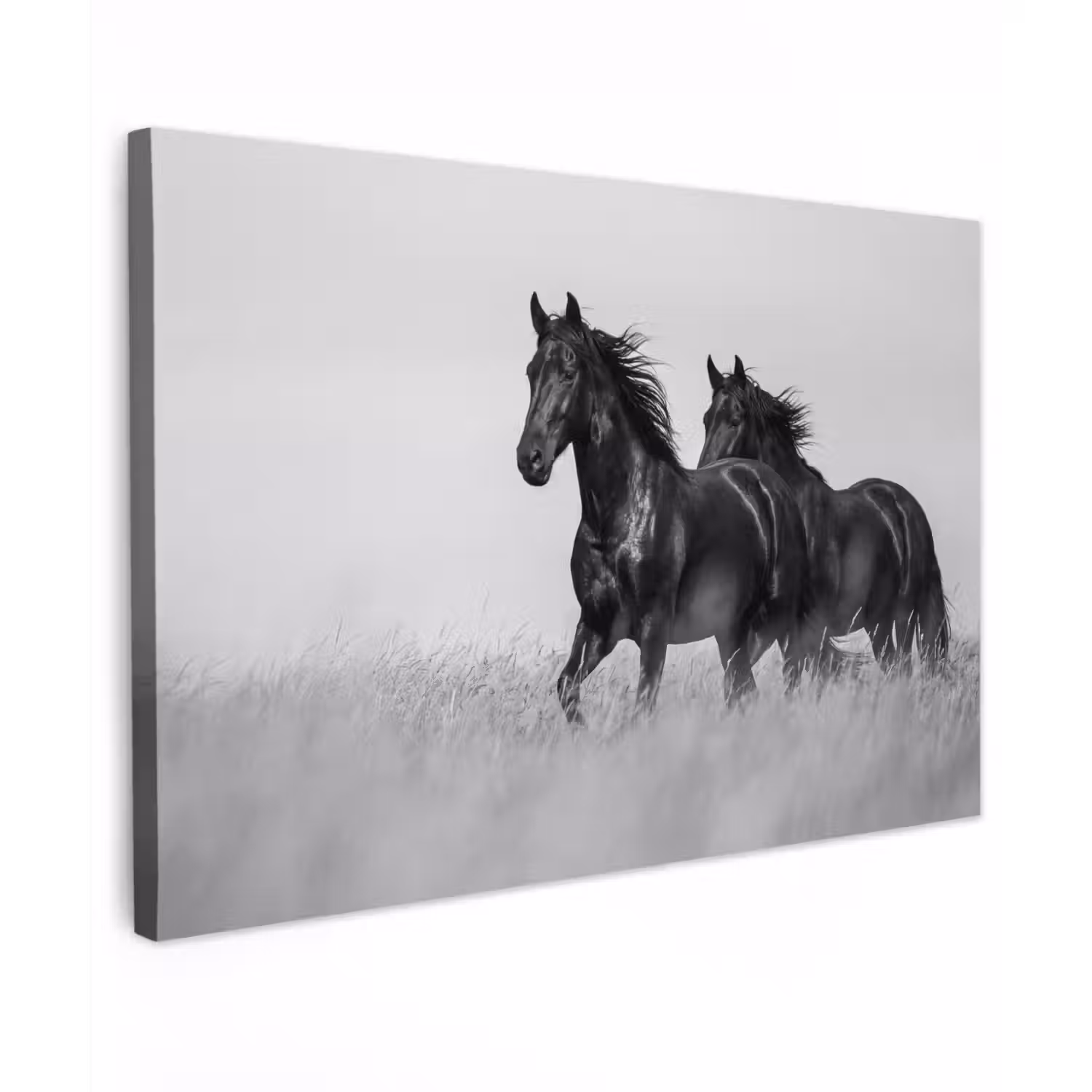 Paarden - Gras - Zwart - Wit canvas 2cm klein -z3d