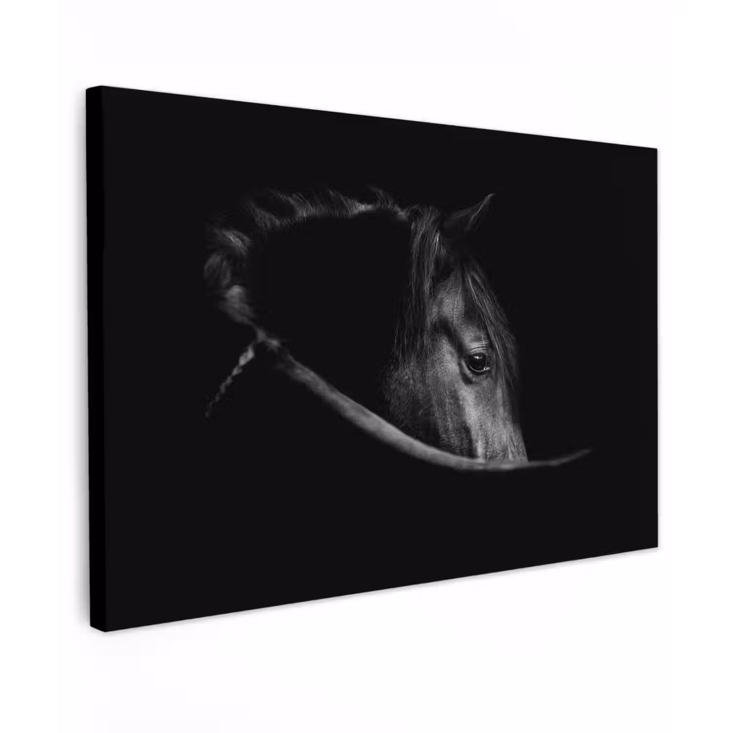 Paarden - Portret - Zwart - Dieren canvas 2cm klein -z3d
