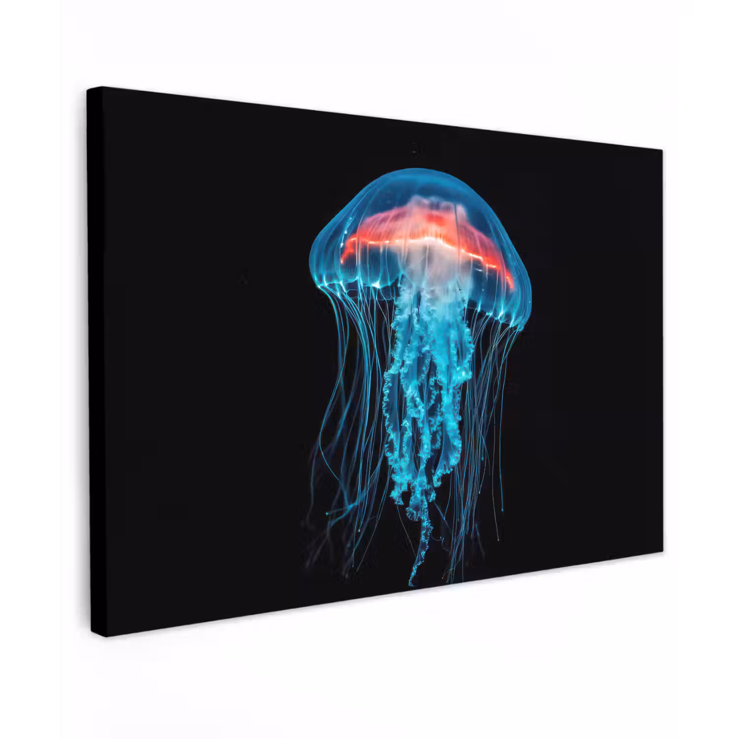 Kwal - Tentakels - Blauw - Licht canvas 2cm klein -z3d
