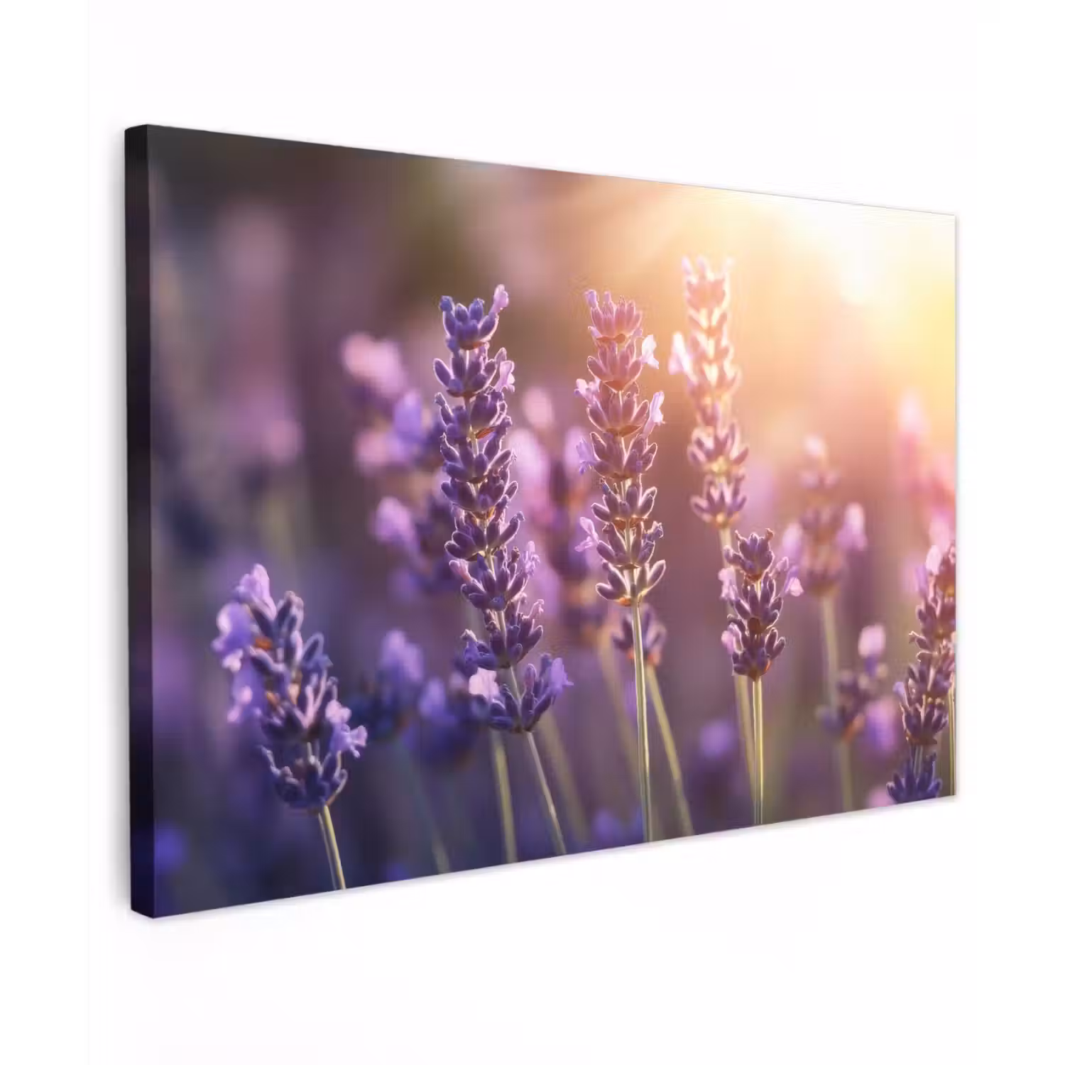 Lavendelbloemen - Paars - Zonlicht canvas 2cm klein -z3d