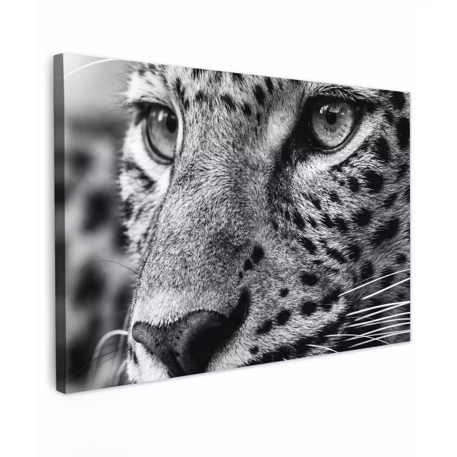 Luipaard - Zwart - Wit - Oog canvas 2cm klein -z3d