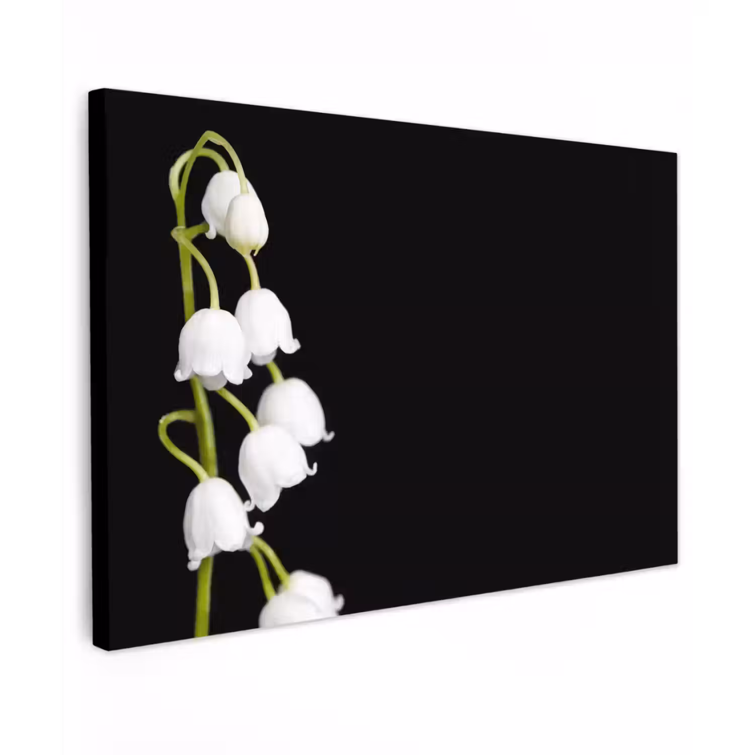 Lelietjes van dalen - Bloemen - Zwart - Flora canvas 2cm klein -z3d