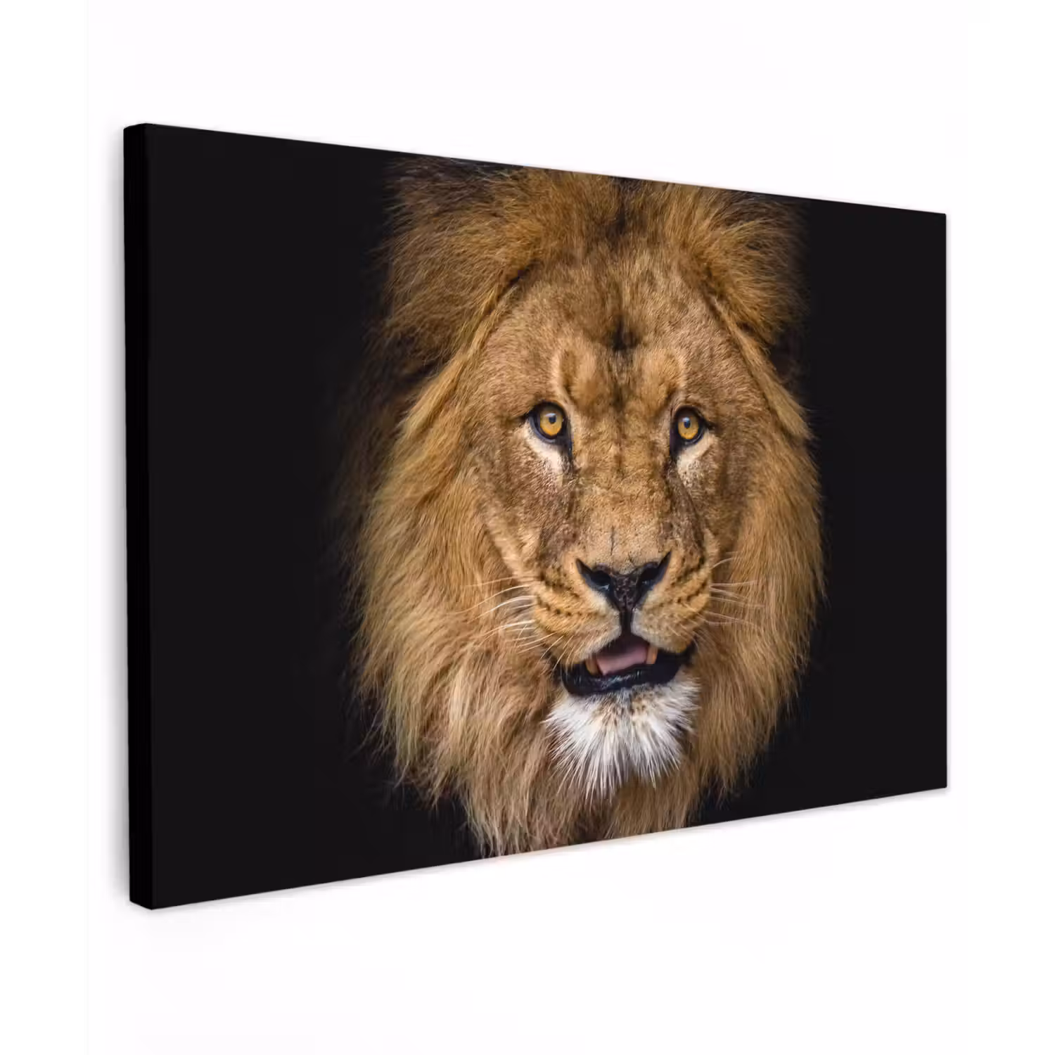 Leeuw - Portret - Zwart - Dieren canvas 2cm klein -z3d
