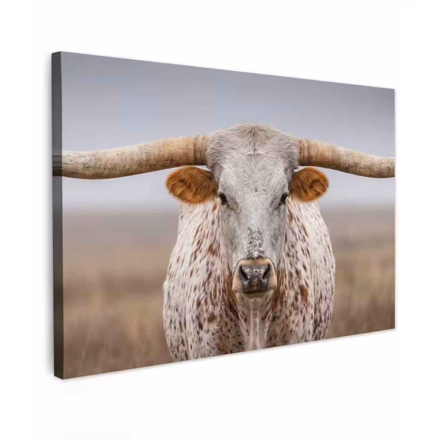 Longhorn - Grasveld - Dier canvas 2cm klein -z3d
