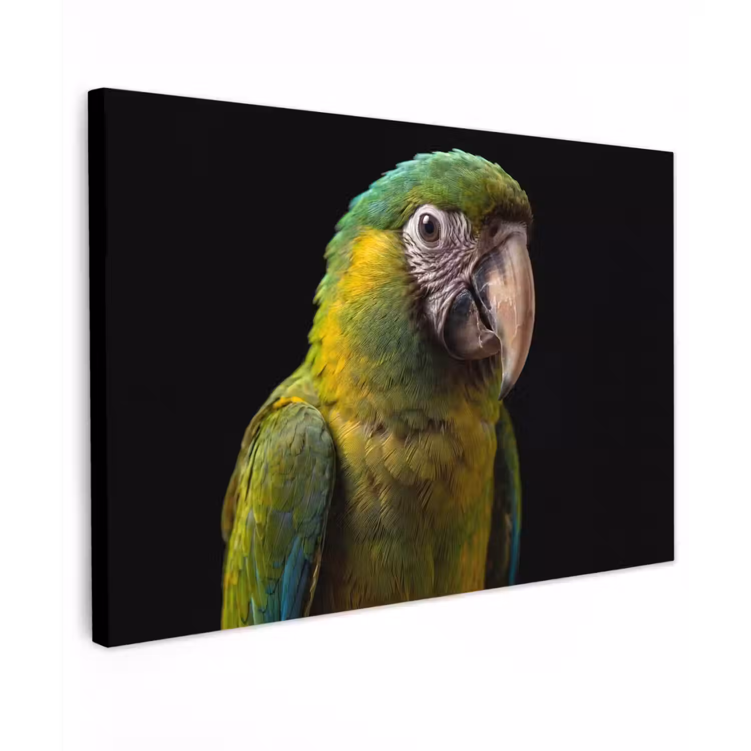 Ara - Portret - Groen canvas 2cm klein -z3d