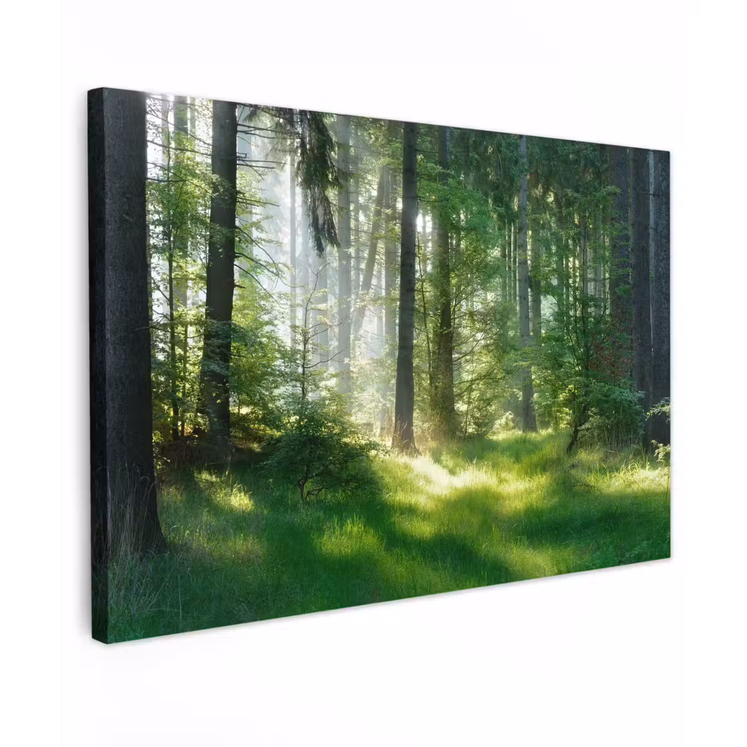Natuur - Bomen - Bos - Groen - Zon - Gras - Planten canvas 2cm klein -z3d