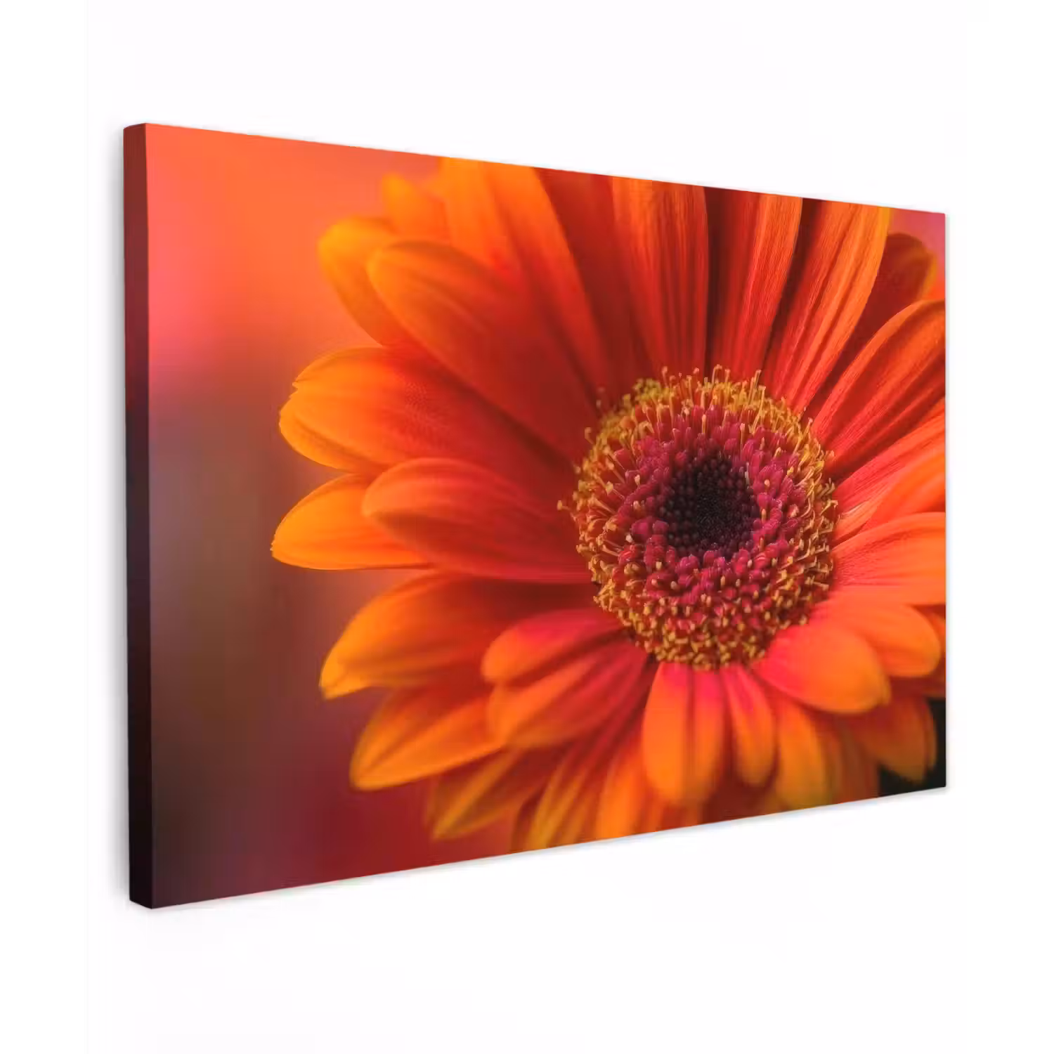 Oranje - Gerbera - Intens canvas 2cm klein -z3d