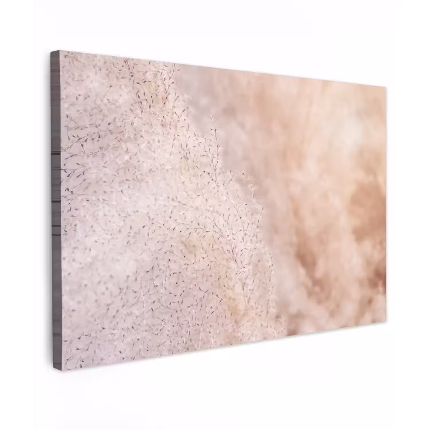 Pampasgras - Structuur - Planten - Natuur canvas 2cm klein -z3d