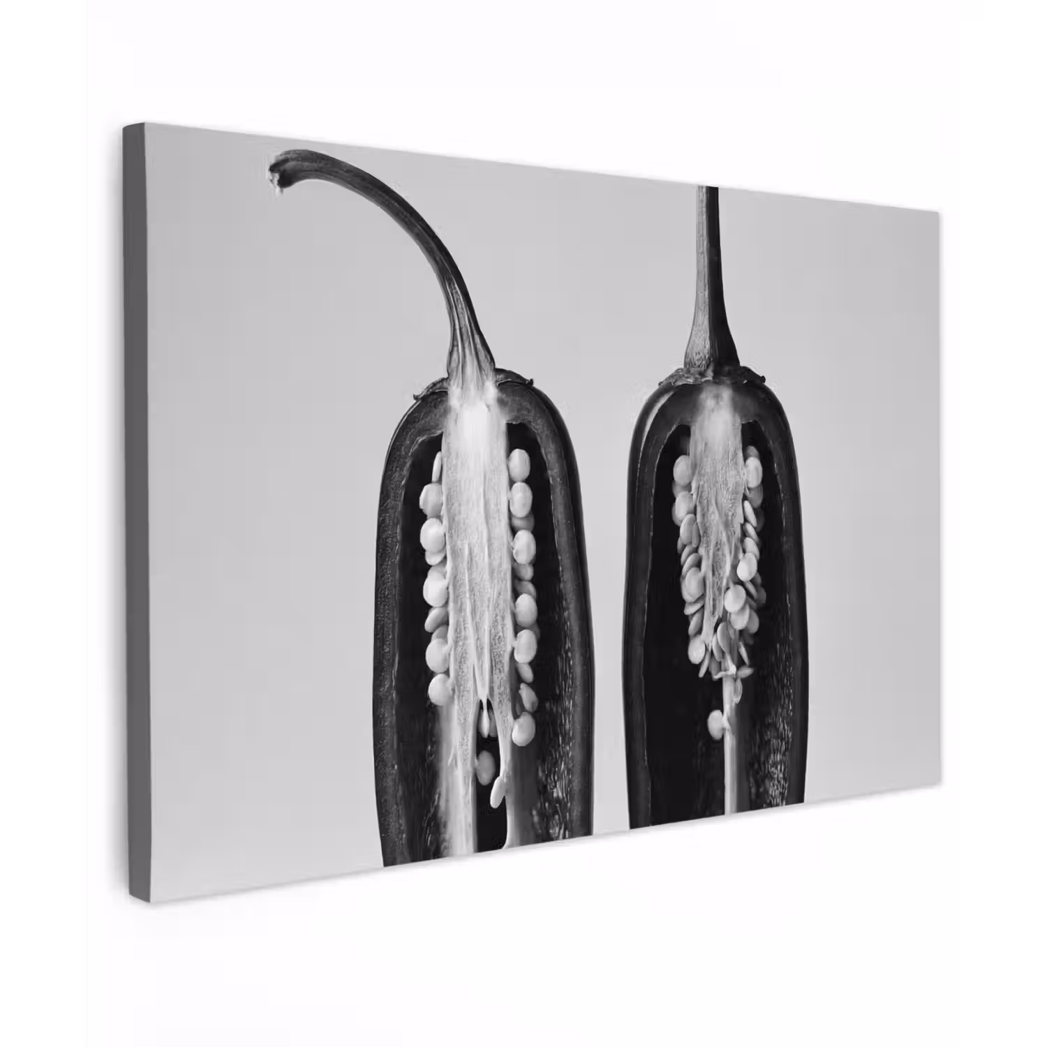 Pepers - Zwart - Wit - Zaadlijsten canvas 2cm klein -z3d
