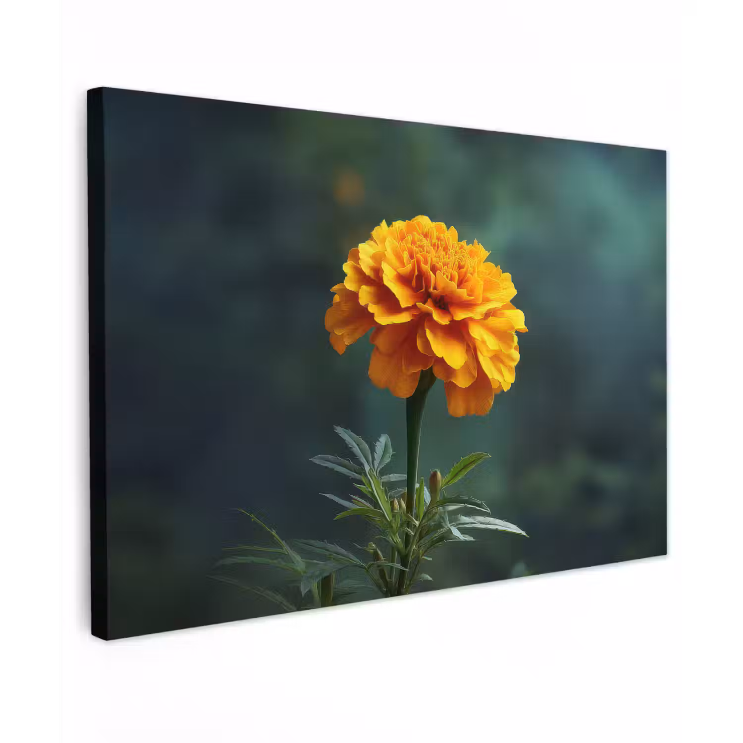 Bloemblaadjes - Afrikaan - Oranje - Wazig canvas 2cm klein -z3d