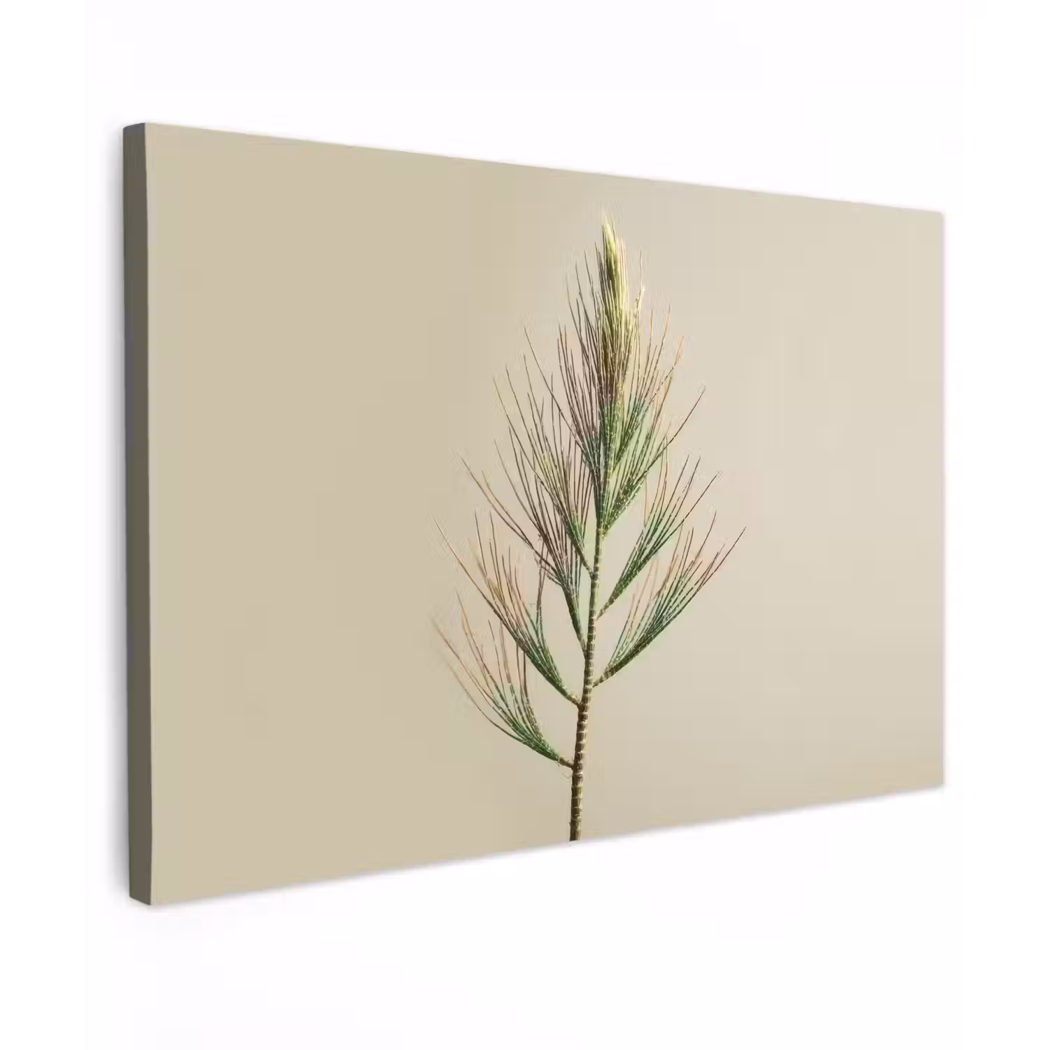 Dennentak - Naaldvormige bladeren - Lichtgroen canvas 2cm klein -z3d