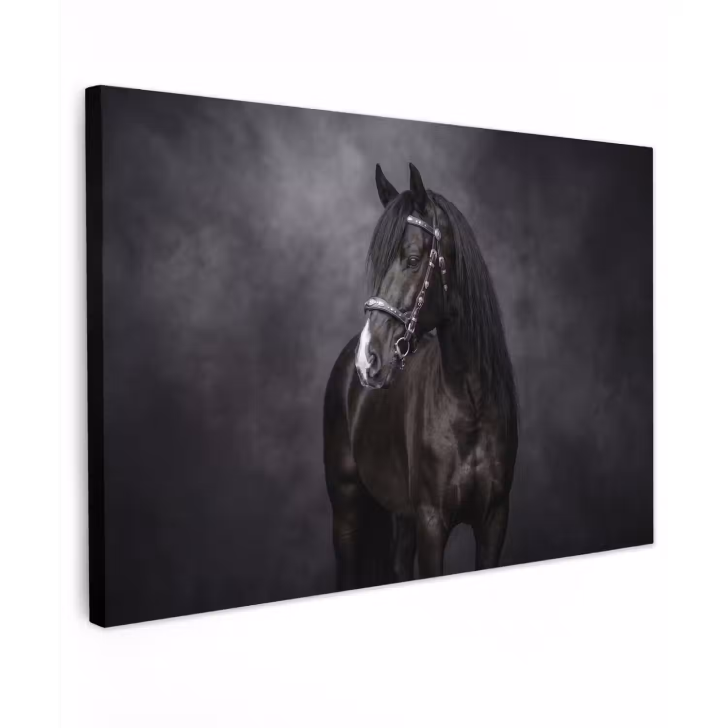 Portret - Paard - Zwart canvas 2cm klein -z3d