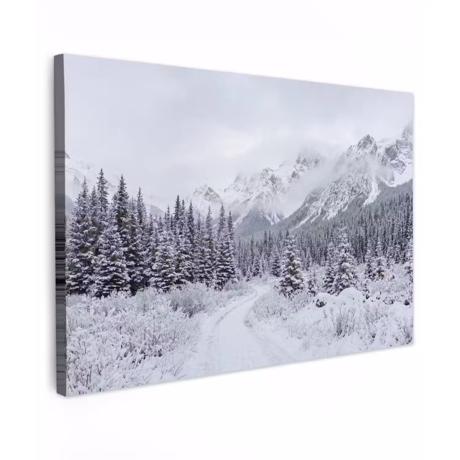 Weg - Bergen - Sneeuw - Naaldbos - Avontuurlijk canvas 2cm klein -z3d