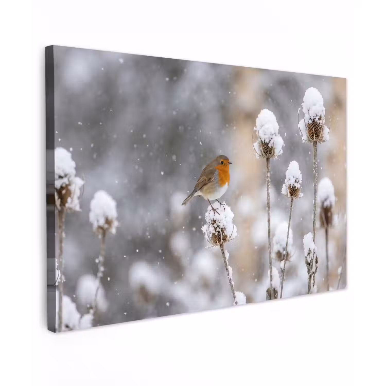 Roodborstje - Gedroogde bloem - Sneeuw - Winter - Vertederend canvas 2cm klein -z3d