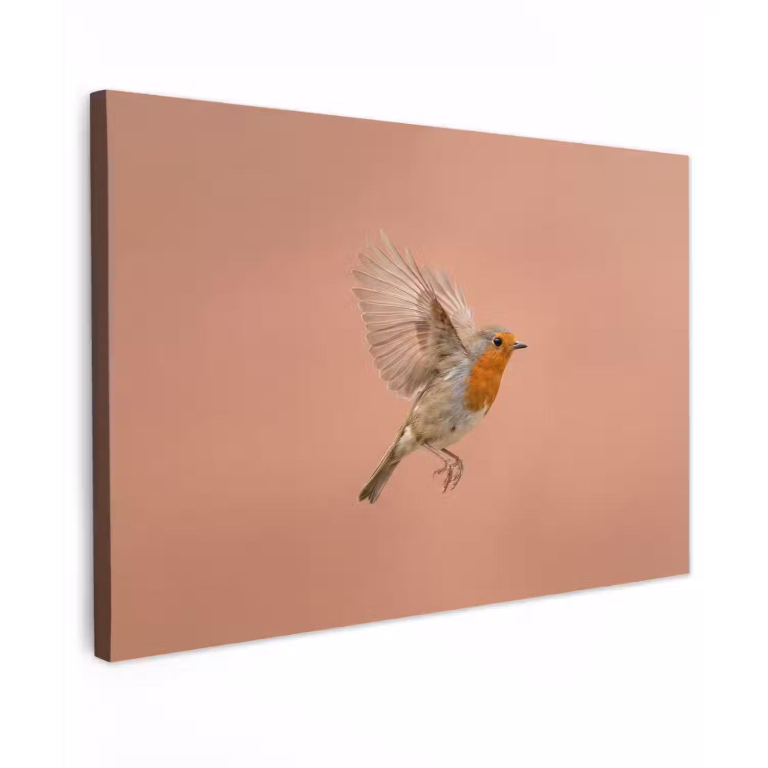 Roodborst - Natuur - Roze canvas 2cm klein -z3d