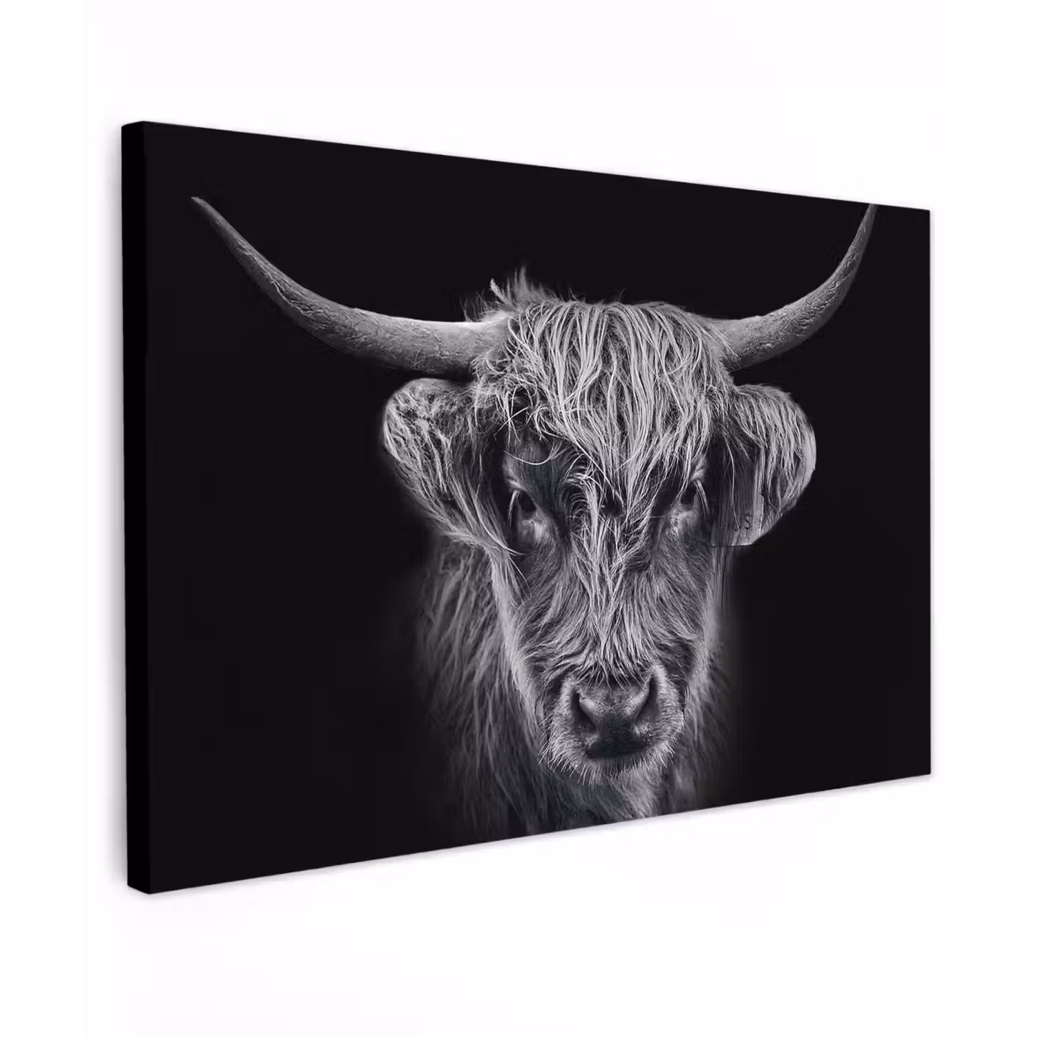 Schotse hooglander - Zwart - Koe - Dieren canvas 2cm klein -z3d