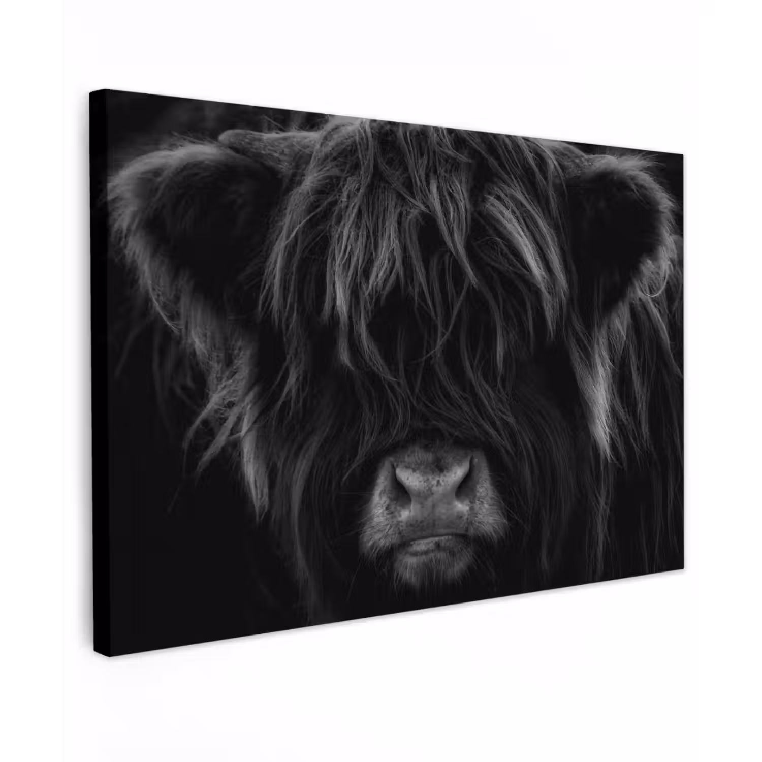 Schotse hooglander - Koe - Zwart - Wit - Dieren canvas 2cm klein -z3d
