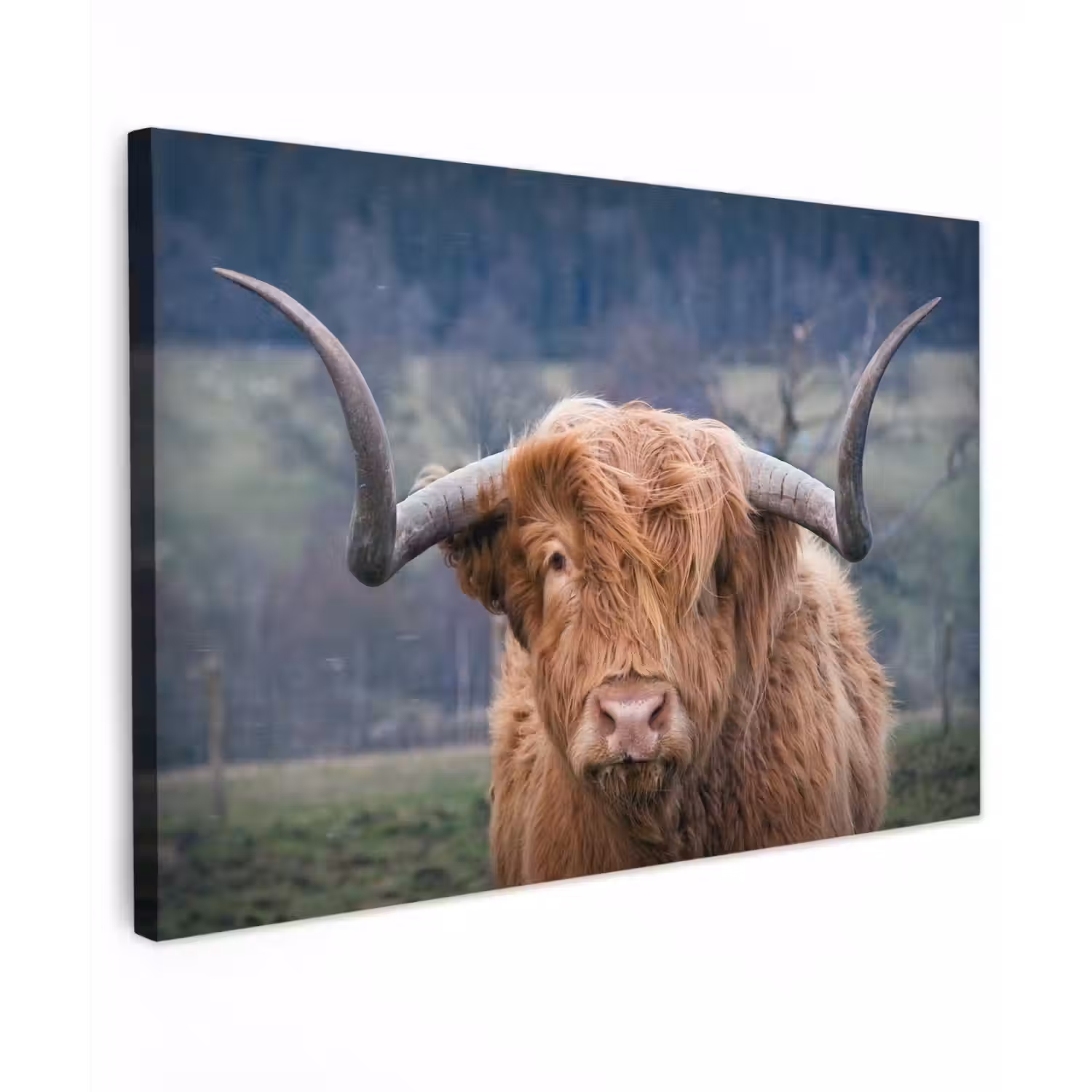 Schotse Hooglander - Koeienkop - Landschap - Natuur - Koe canvas 2cm klein -z3d