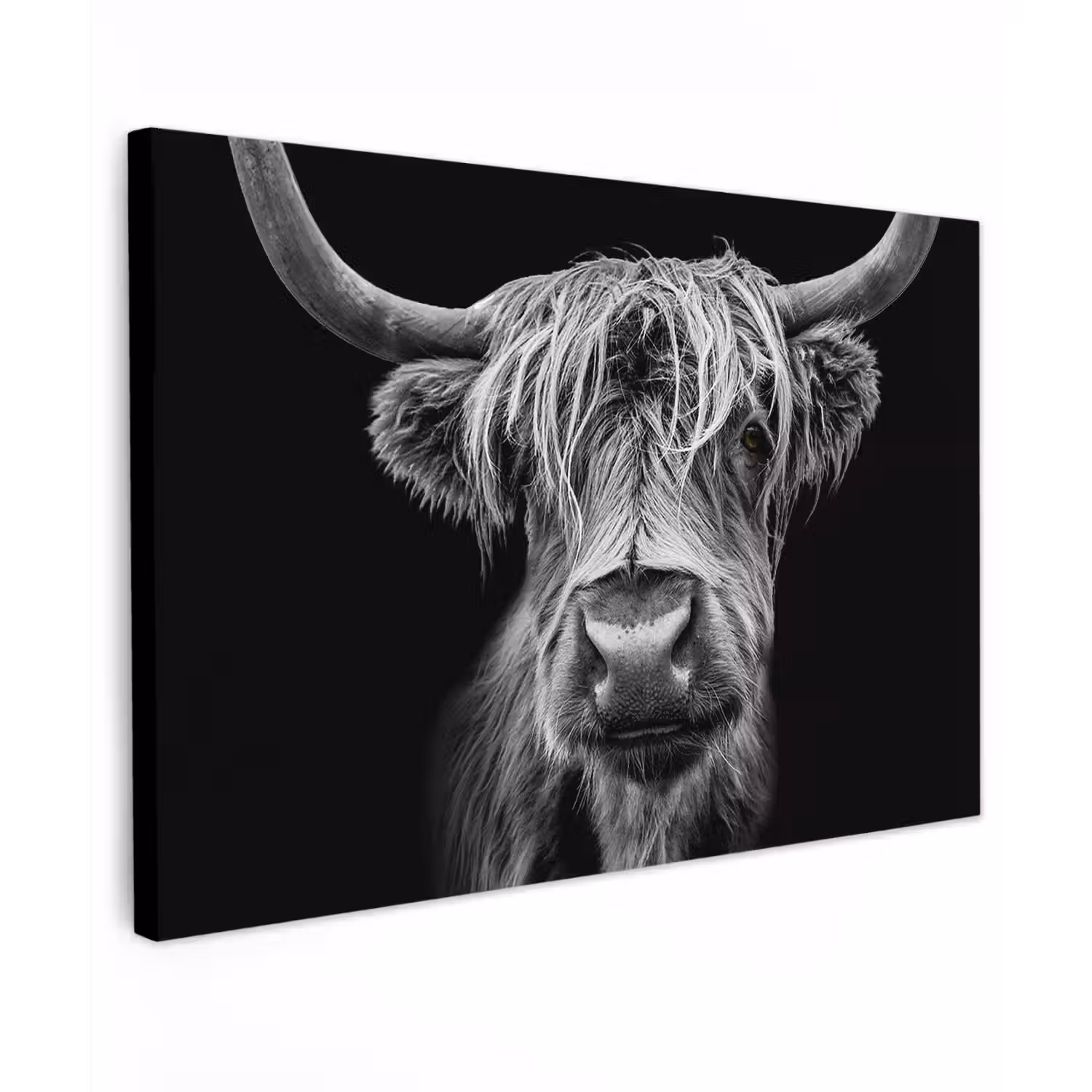 Schotse Hooglander - Horens - Zwart - Wit - Koe - Wild - Dieren canvas 2cm klein -z3d
