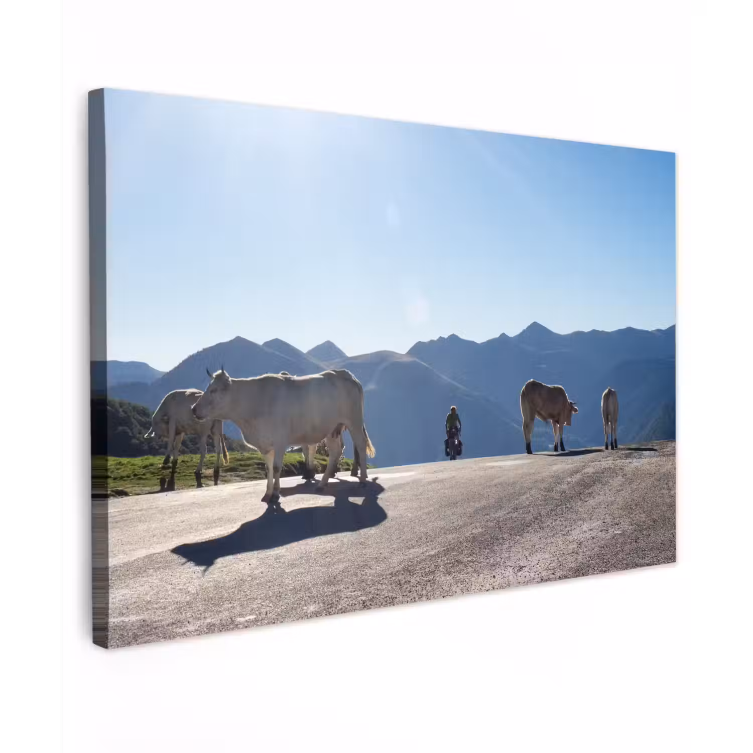 Schotse hooglander - Licht - Berg - Natuur canvas 2cm klein -z3d