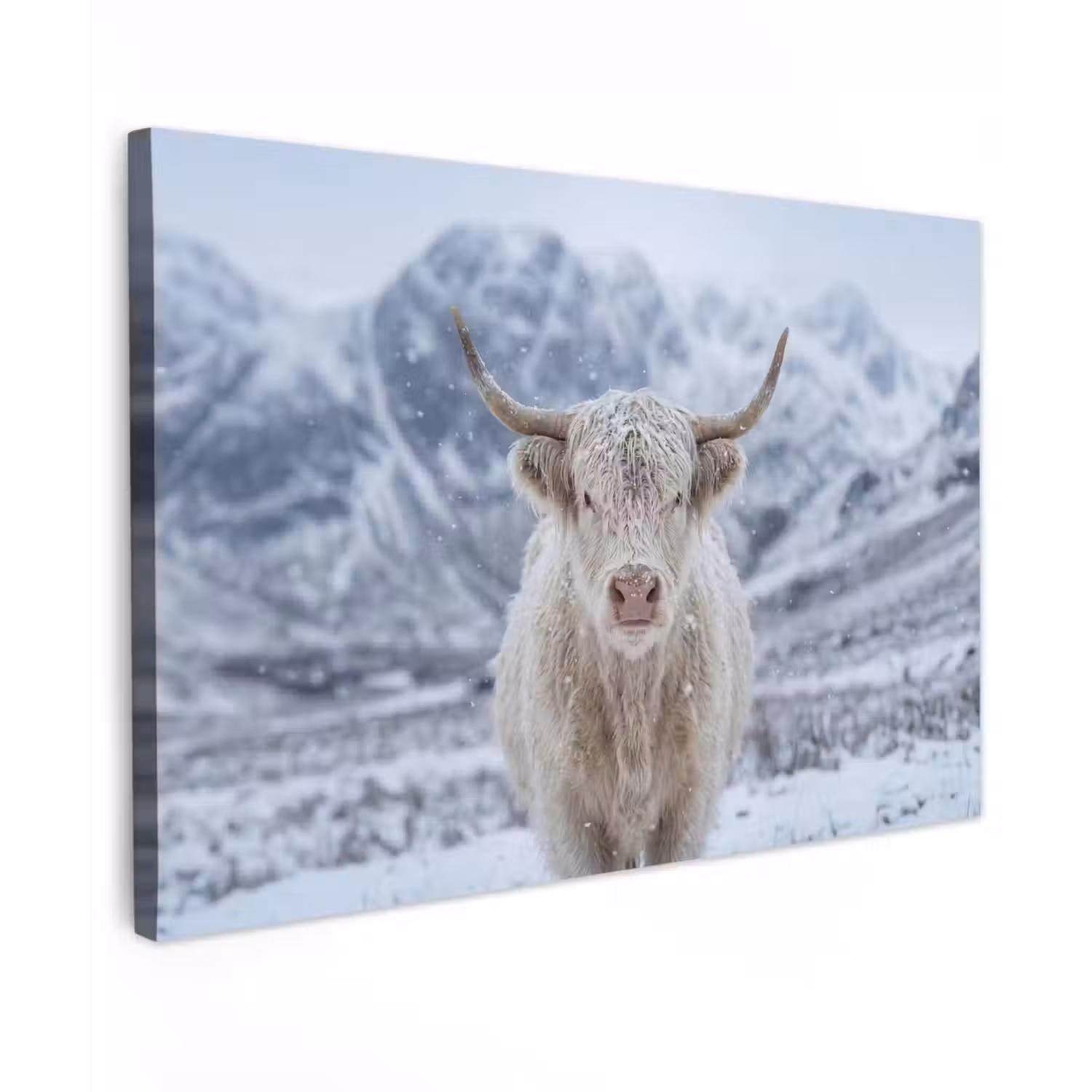 Schotse Hooglander - Sneeuw - Bergen - Winter canvas 2cm klein -z3d