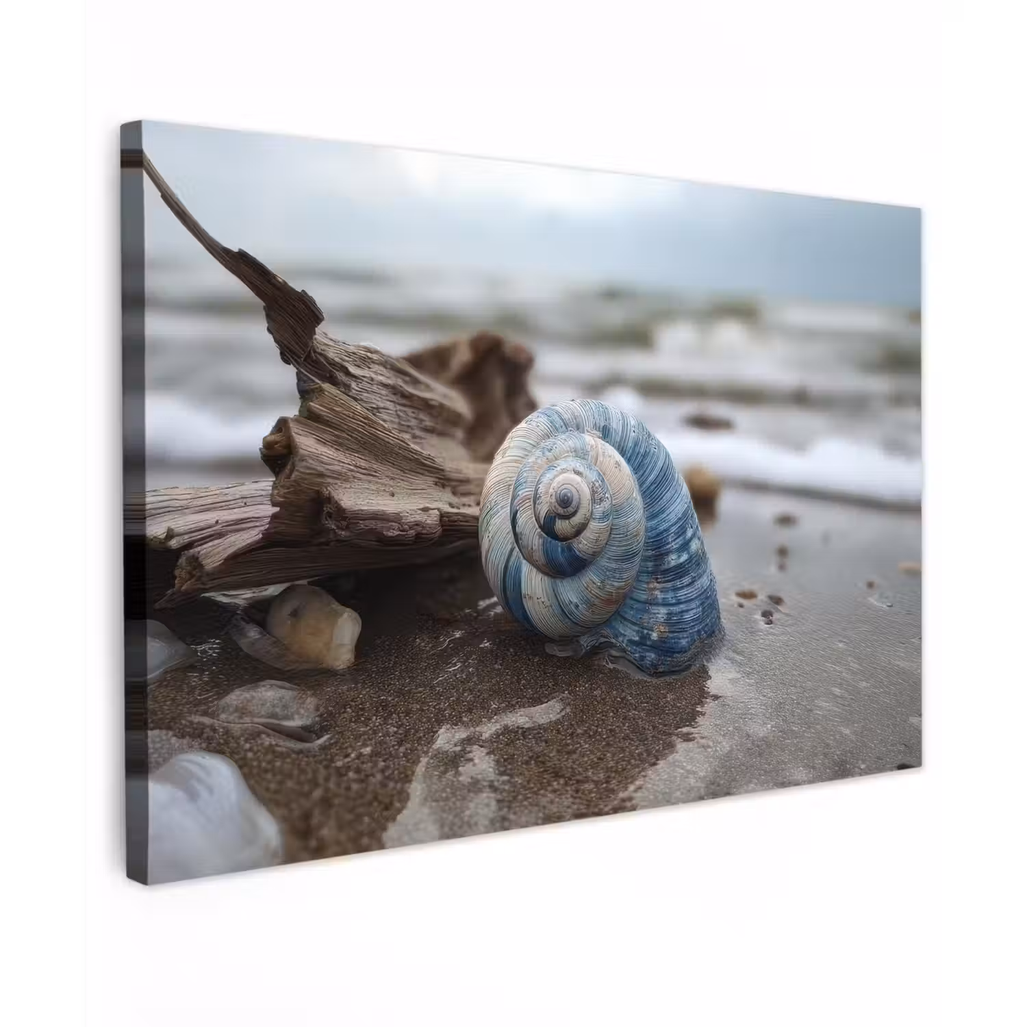 Schelp - Strand - Blauw - Zee canvas 2cm klein -z3d