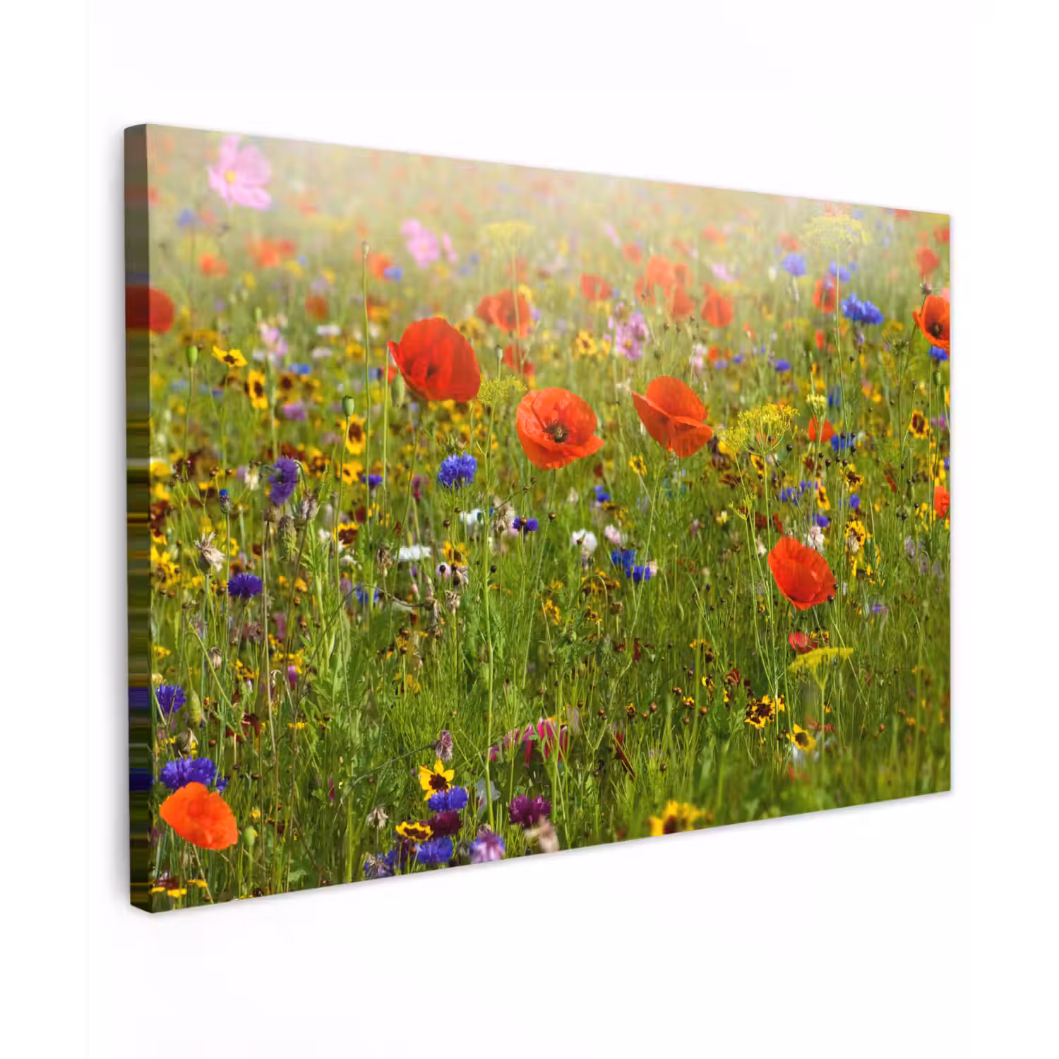 Lente - Bloemen - Rood - Klaproos - Gras - Groen canvas 2cm klein -z3d