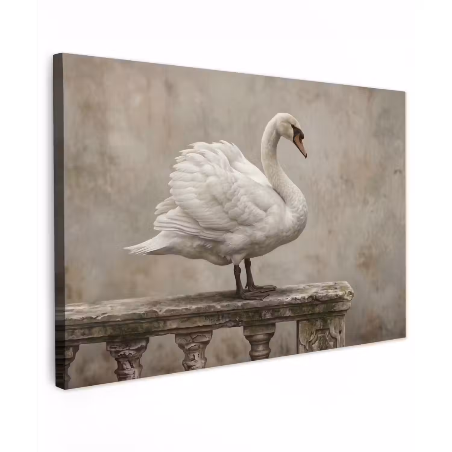Zwaan - Elegant - Dieren - Wit canvas 2cm klein -z3d