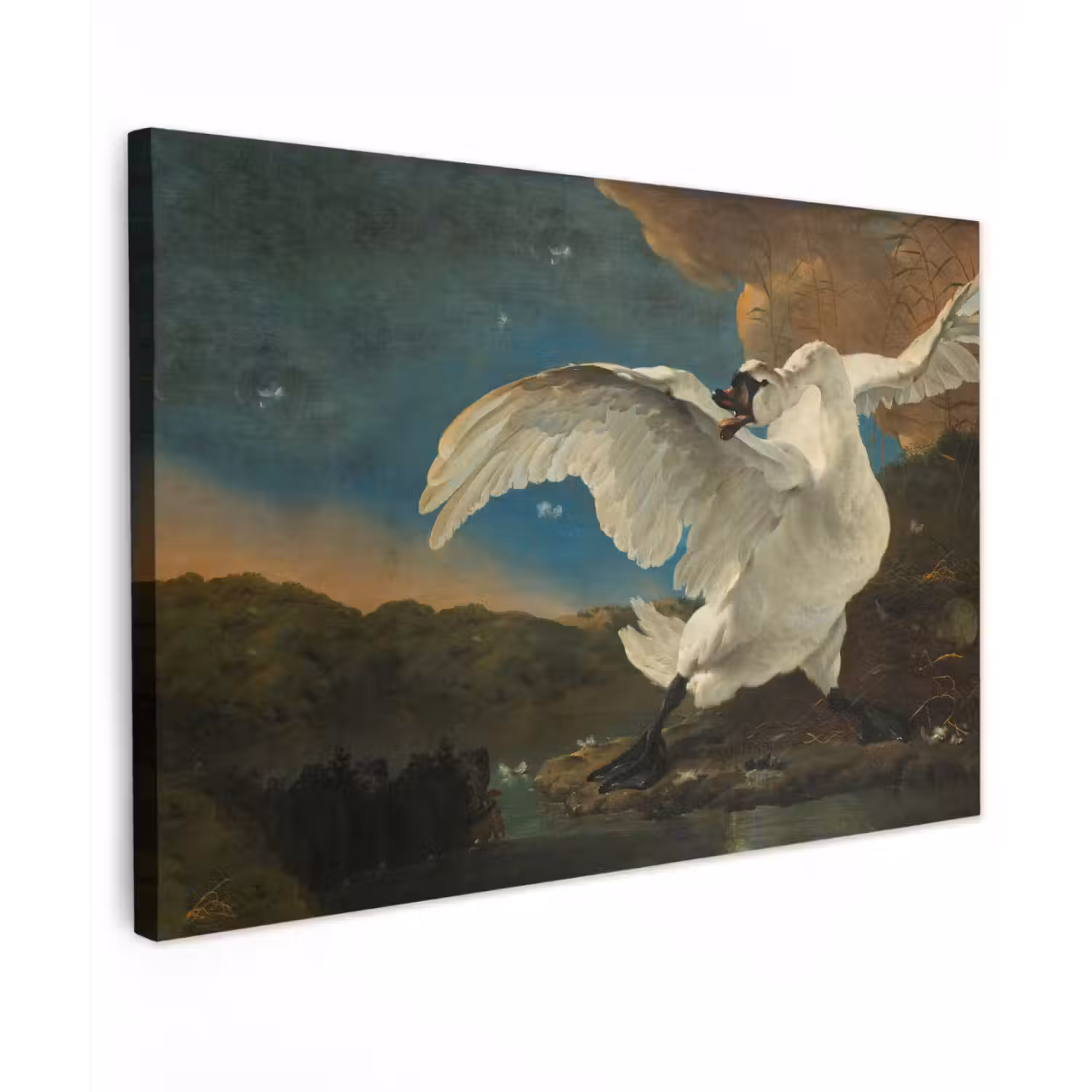 Zwaan - Oude meesters - Jan Asselijn canvas 2cm klein -z3d