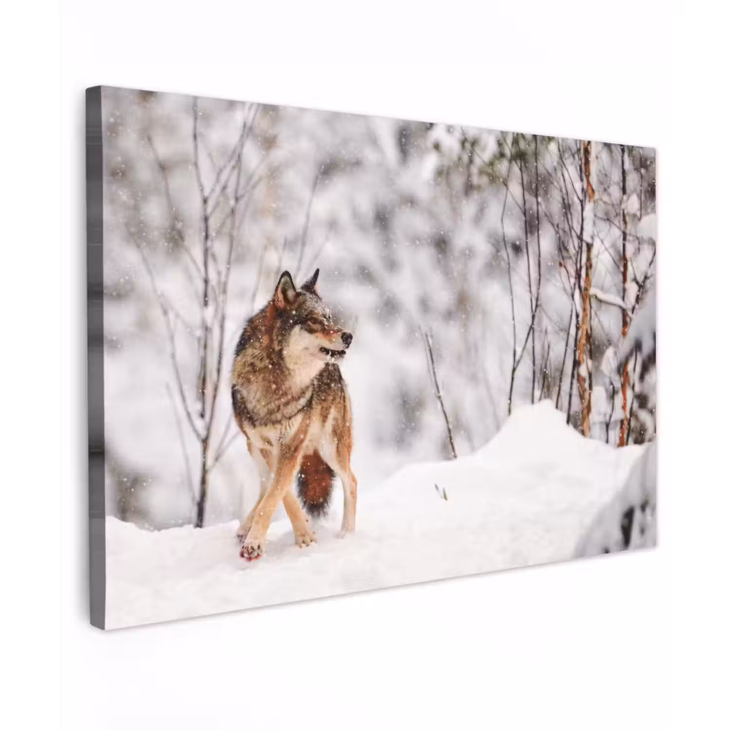 Wolf - Winter - Sneeuw - Natuur - Dieren canvas 2cm klein -z3d