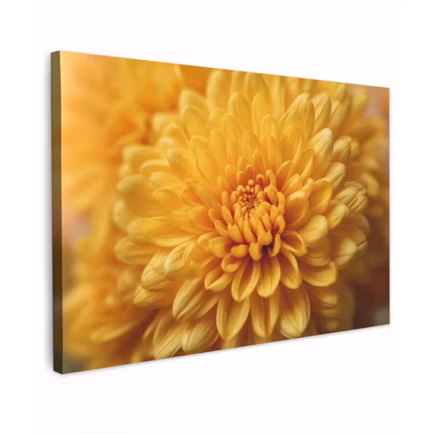 Geel - Chrysant - Zachtheid canvas 2cm klein -z3d