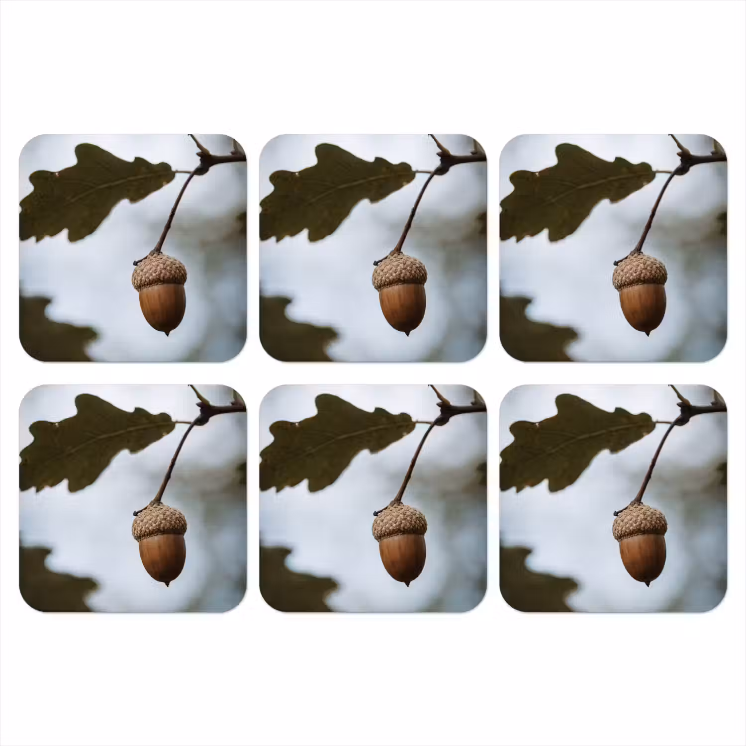 Eikel - Eikenblad - Bos - Herfst - Natuur onderzetter kurk middel -3d