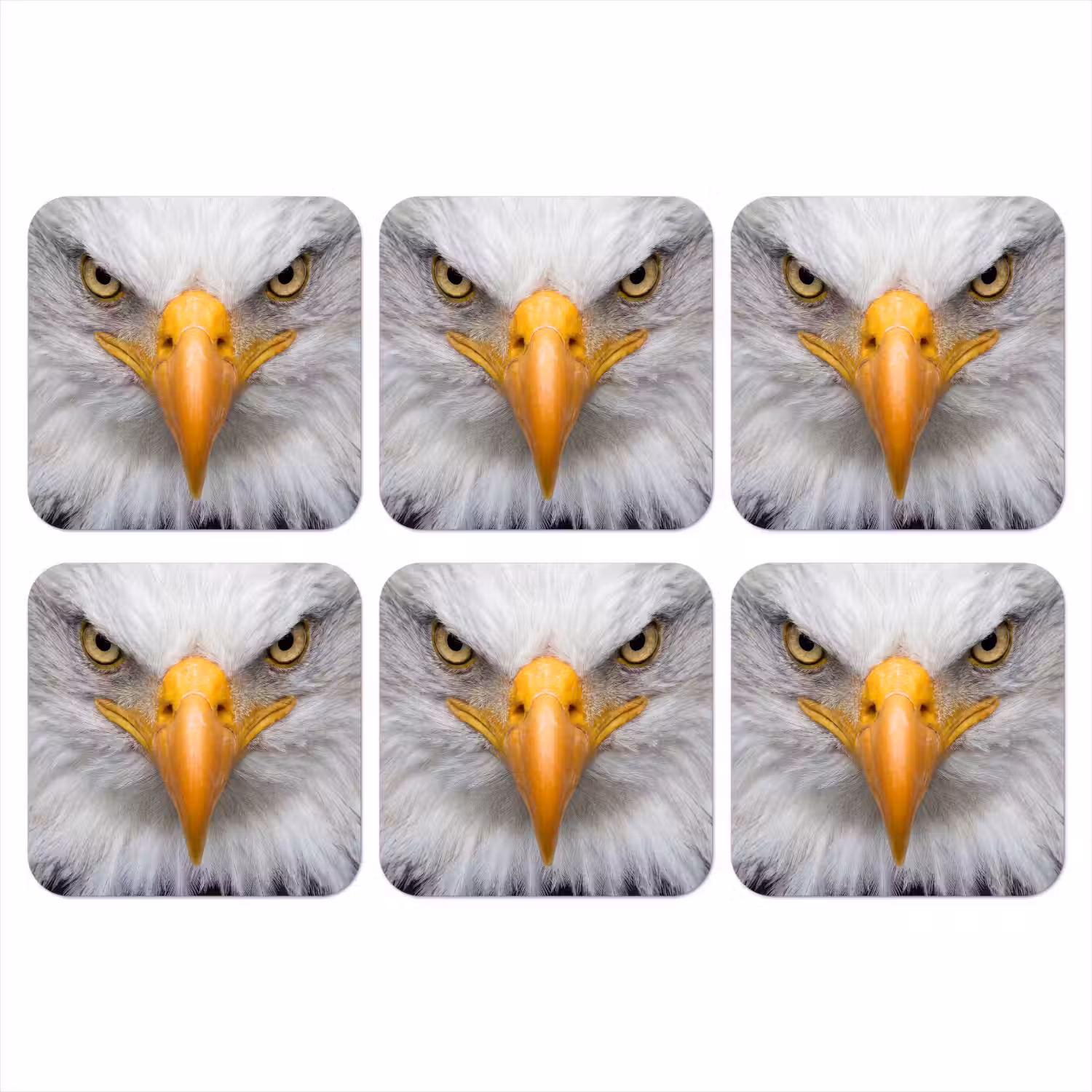 Amerikaans - Zeearend - Portret - Geel onderzetter kurk middel -3d