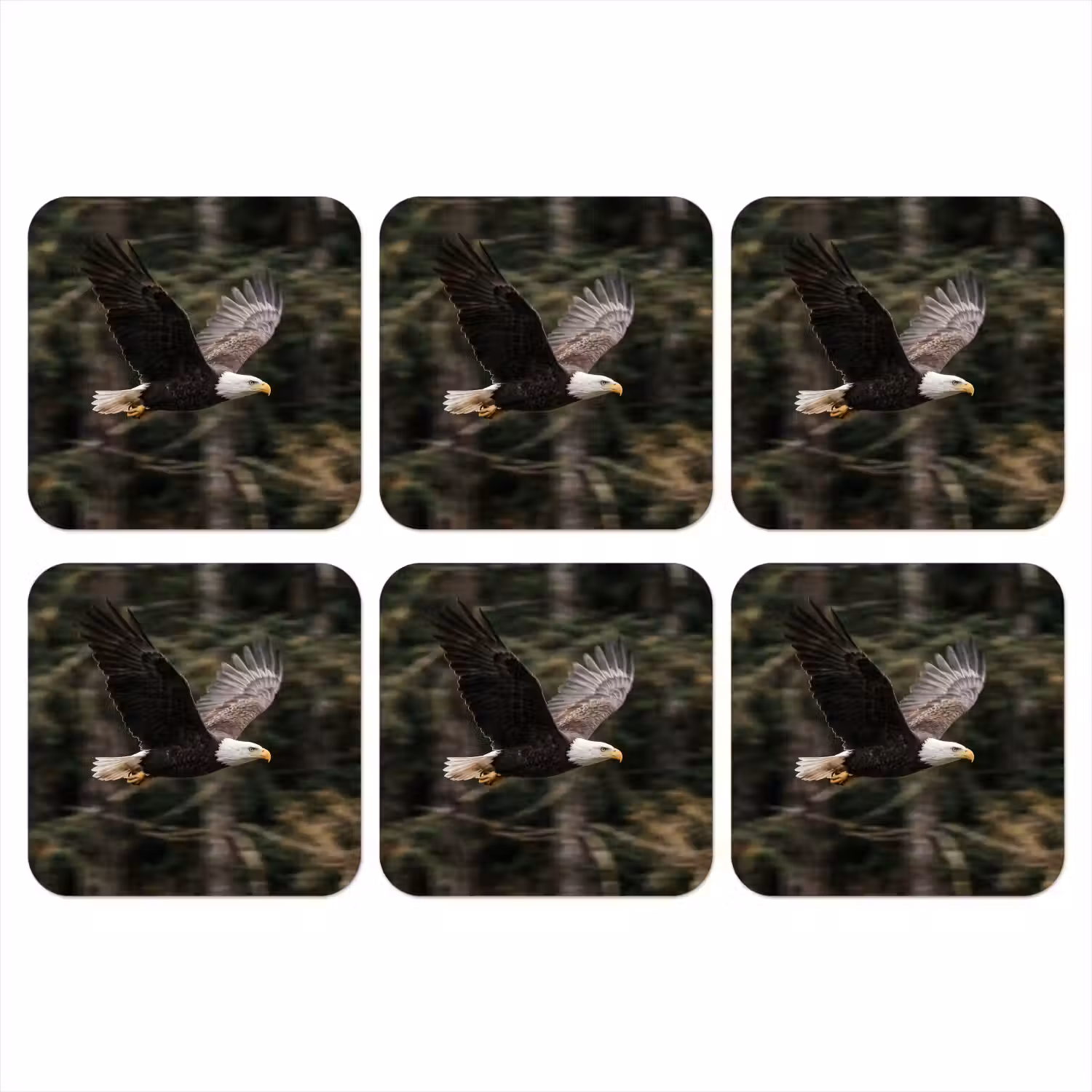 Zeearend - Vliegen - Bos - Natuur onderzetter kurk middel -3d